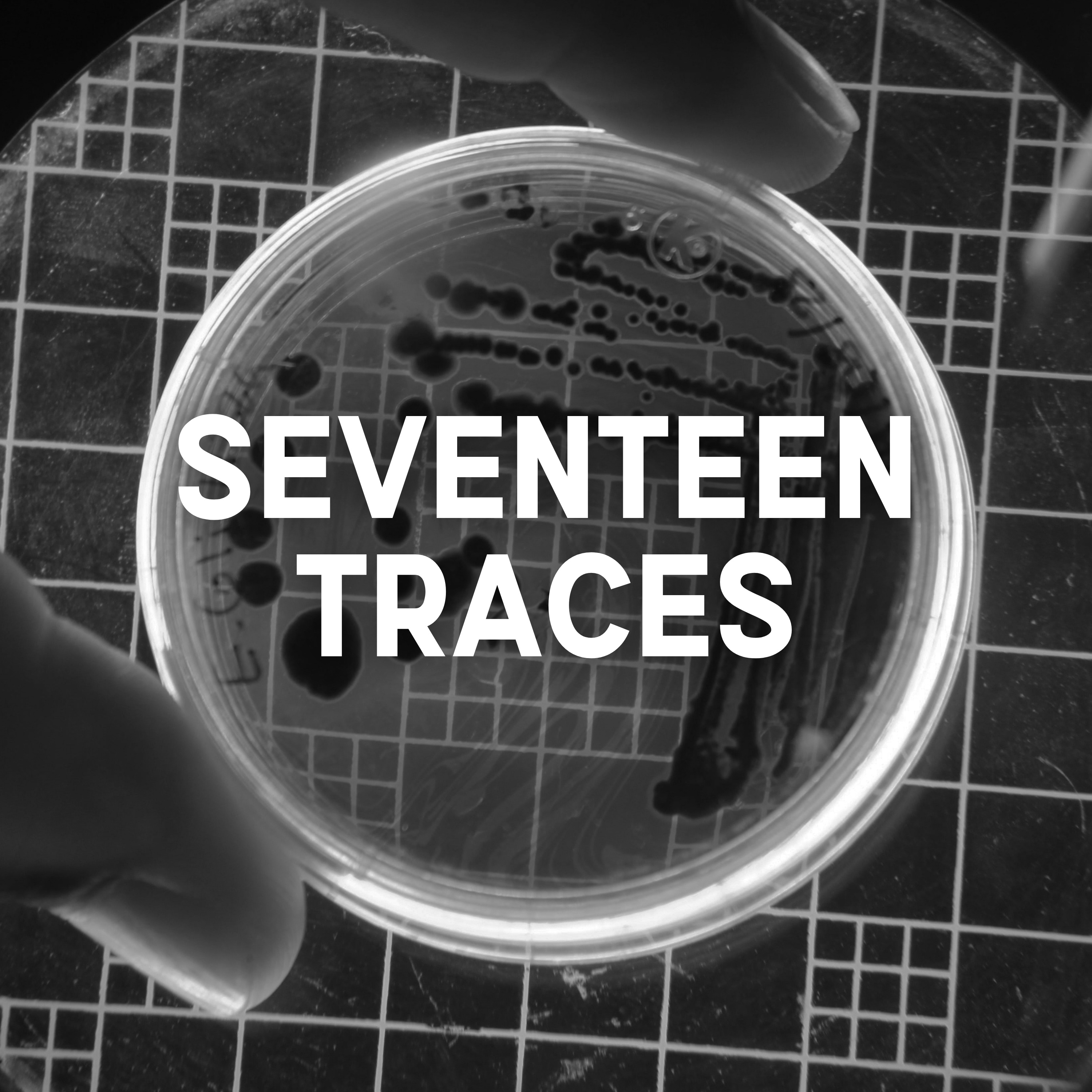 Seventeen Traces
