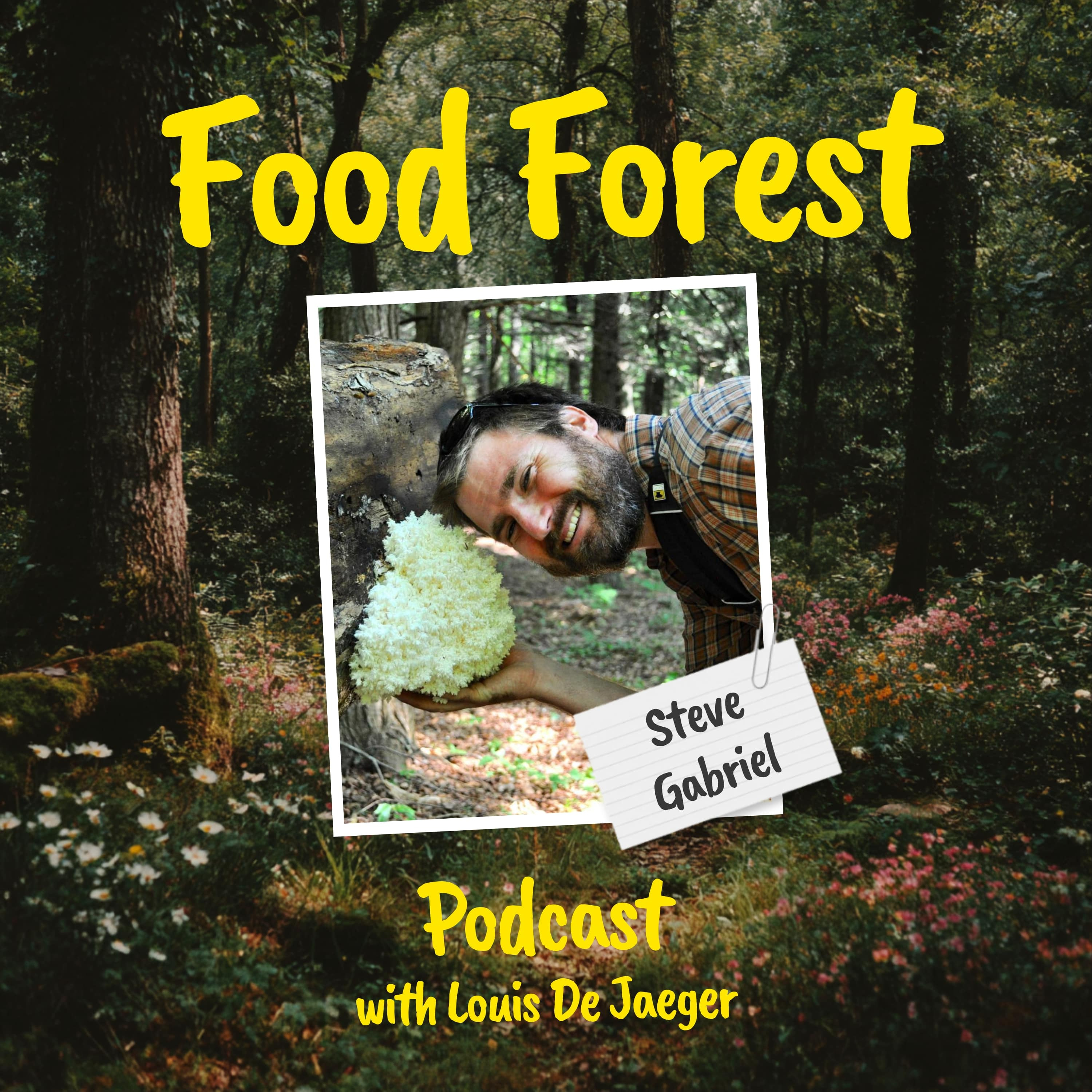 Food Forest Podcast: Steve Gabriel – How do you farm the woods? Eat more fungi!