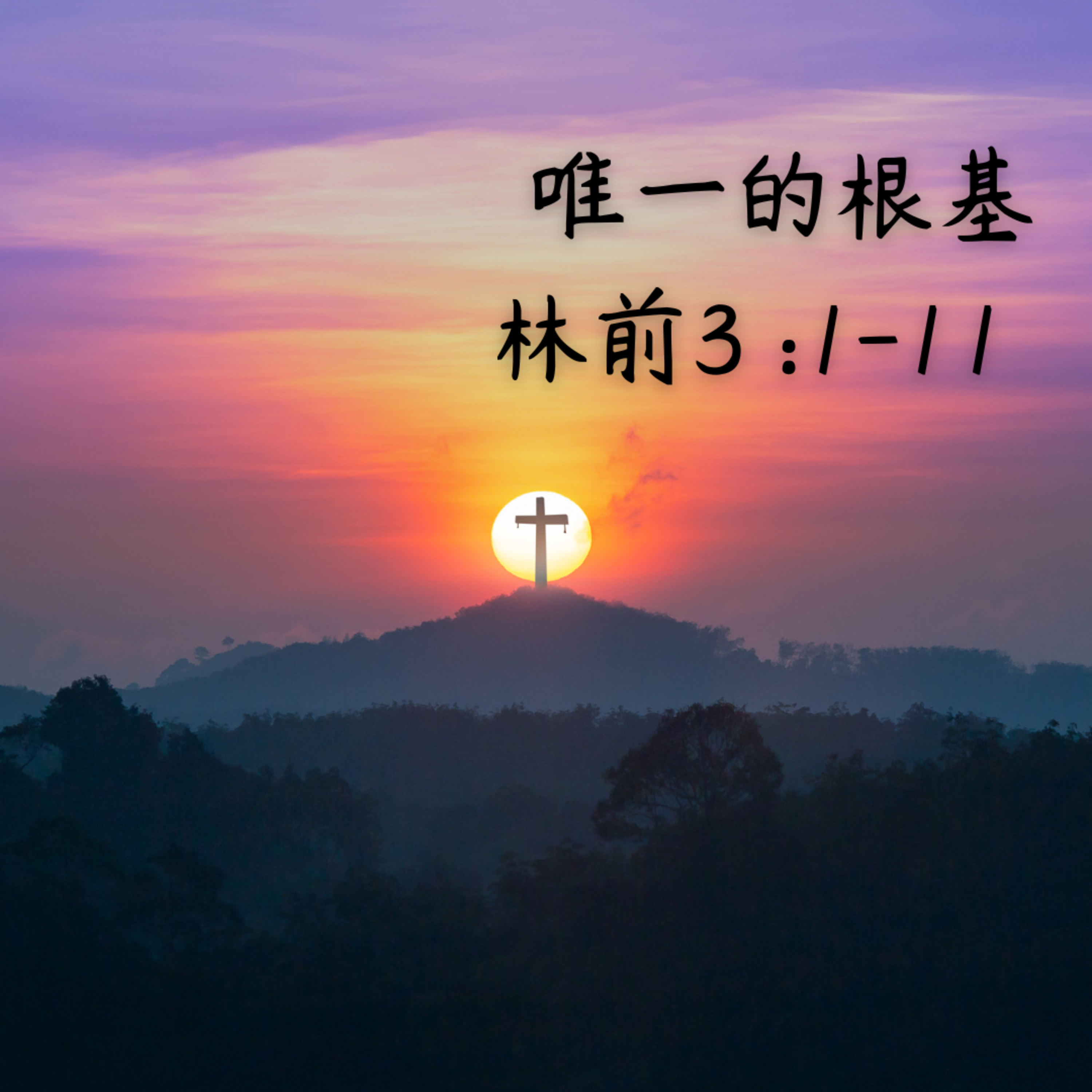 20250504 唯一的根基（林前 3 :1-11 ） episode artwork