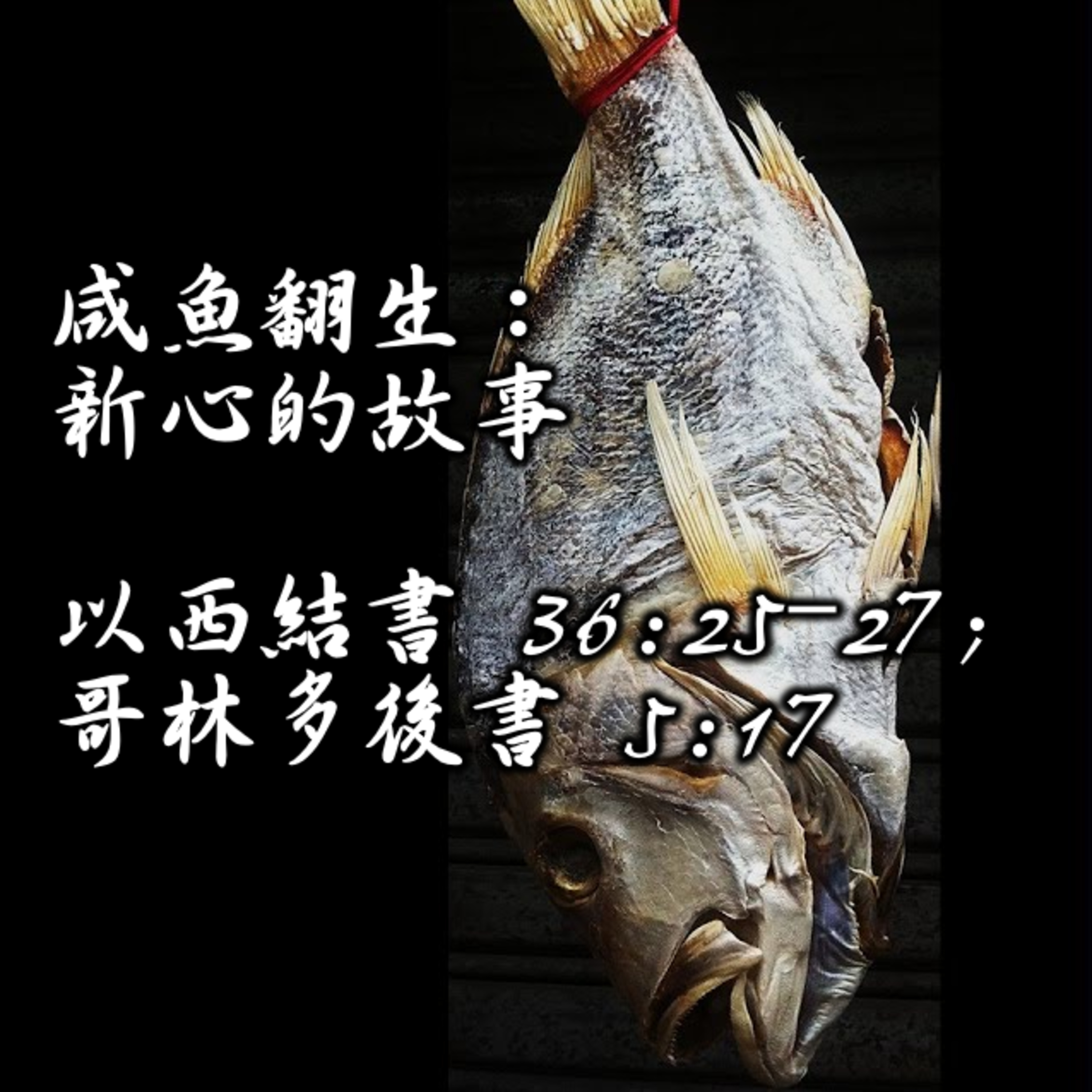 20250316 咸魚翻生：新心的故事（以西結書 36:25-27; 哥林多後書 5:17） episode artwork