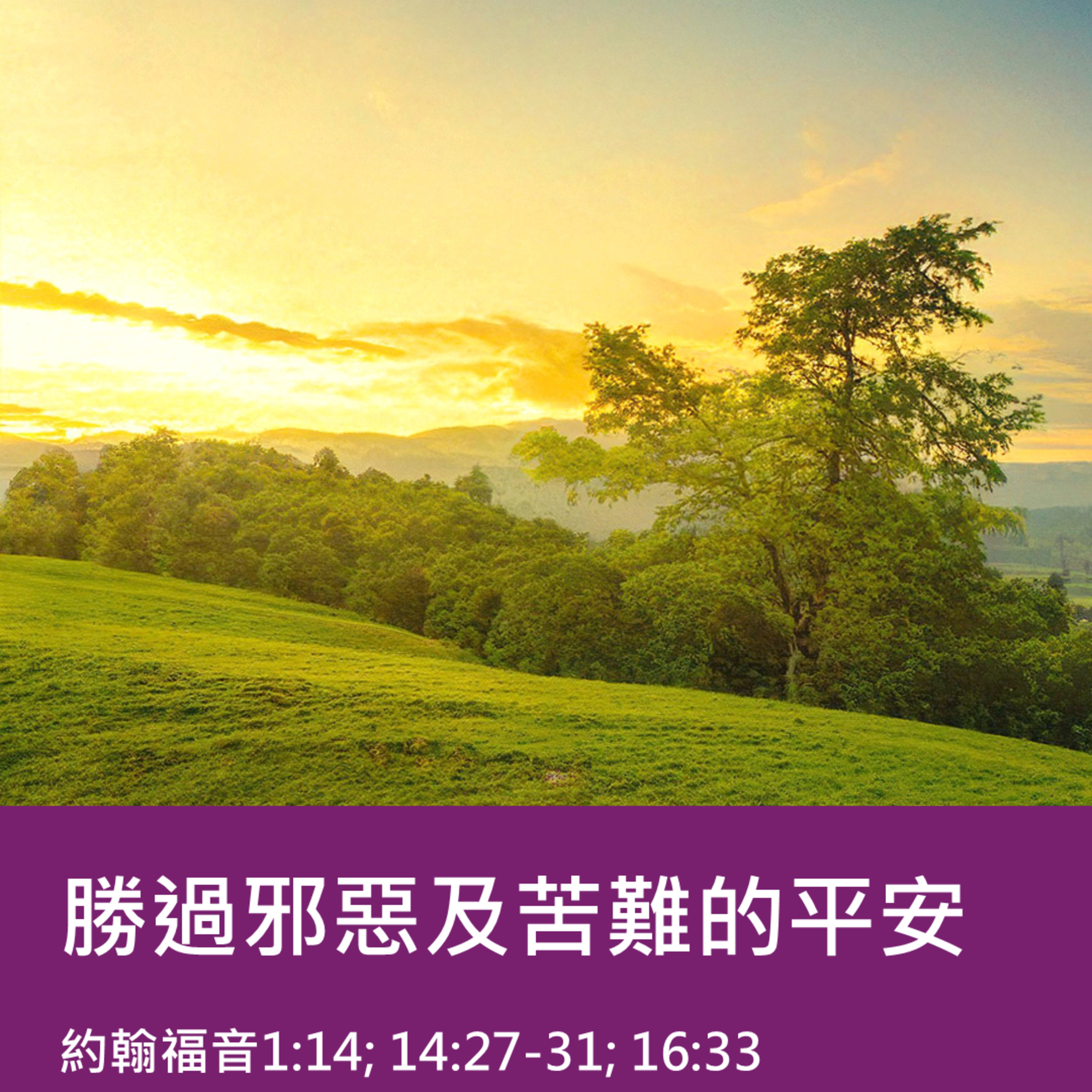 2025-12-07 - 深度看耶穌 [8]：勝過邪惡及苦難的平安 (約翰福音 1:14; 14:27-31; 16:33) episode artwork