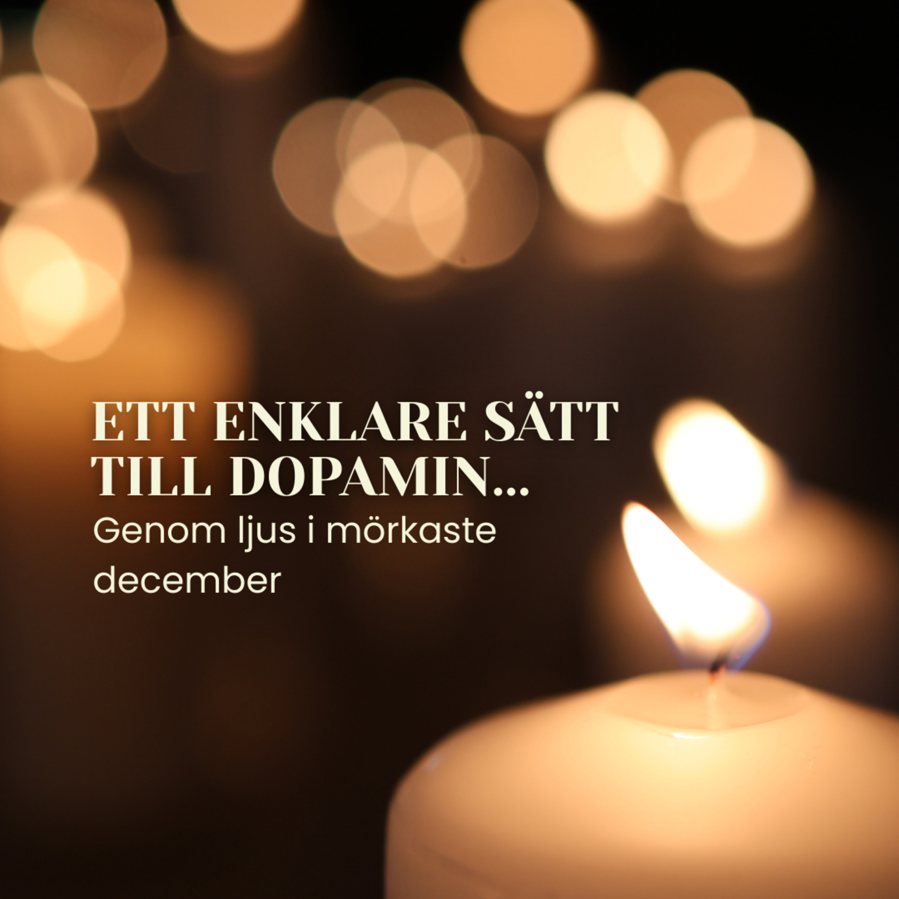 Konsten att hitta dopamin genom ljus i mörkaste december episode artwork
