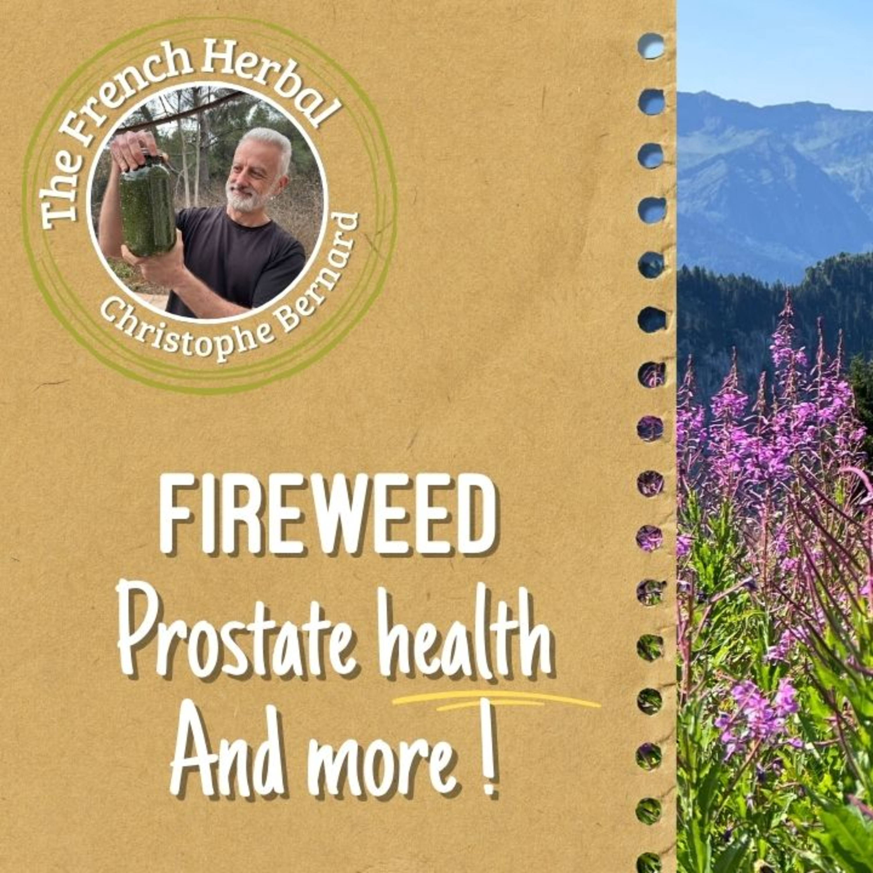 Fireweed (Epilobium) Benefits: Prostate Herb and More episode artwork