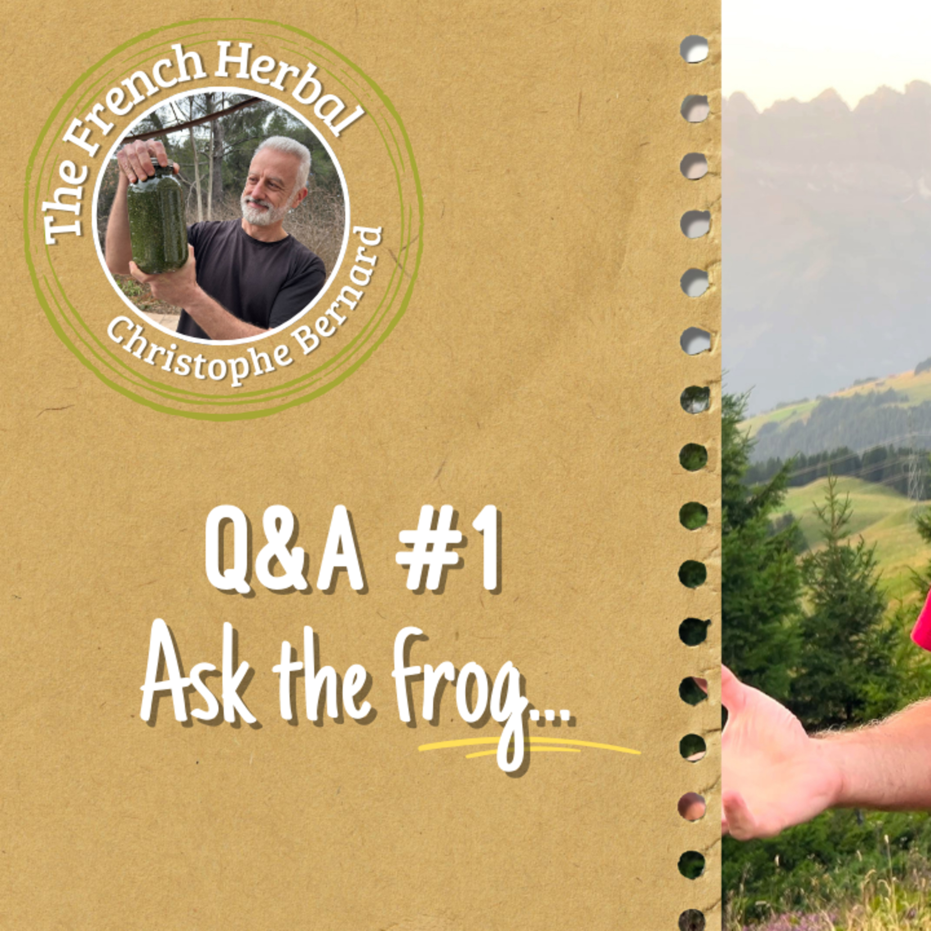 Q&A #1: Eating Medicinal Plants, Teas vs Hydrosols, and Herb Mixing Tips episode artwork
