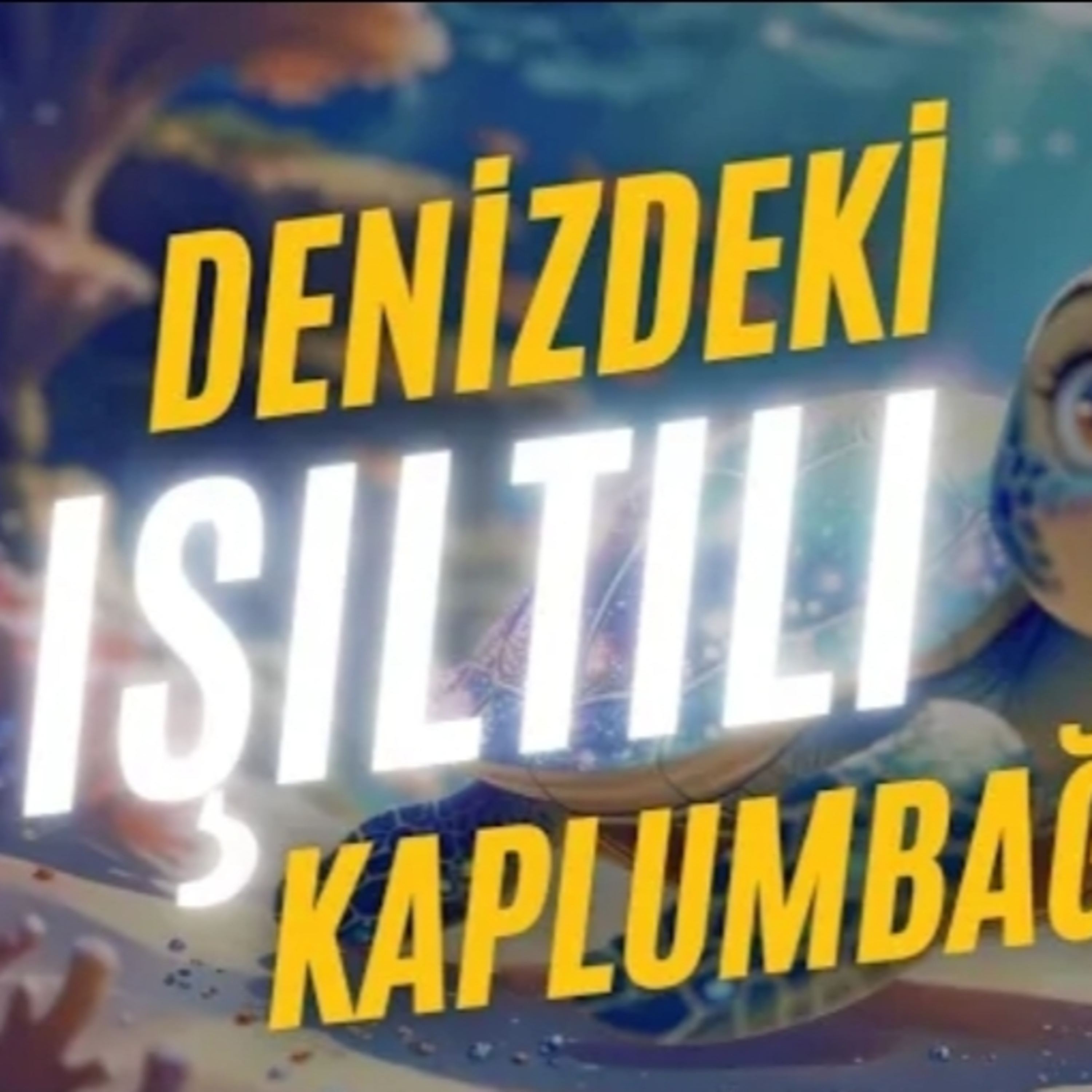 Denizdeki Işıltılı Kaplumbağa episode artwork