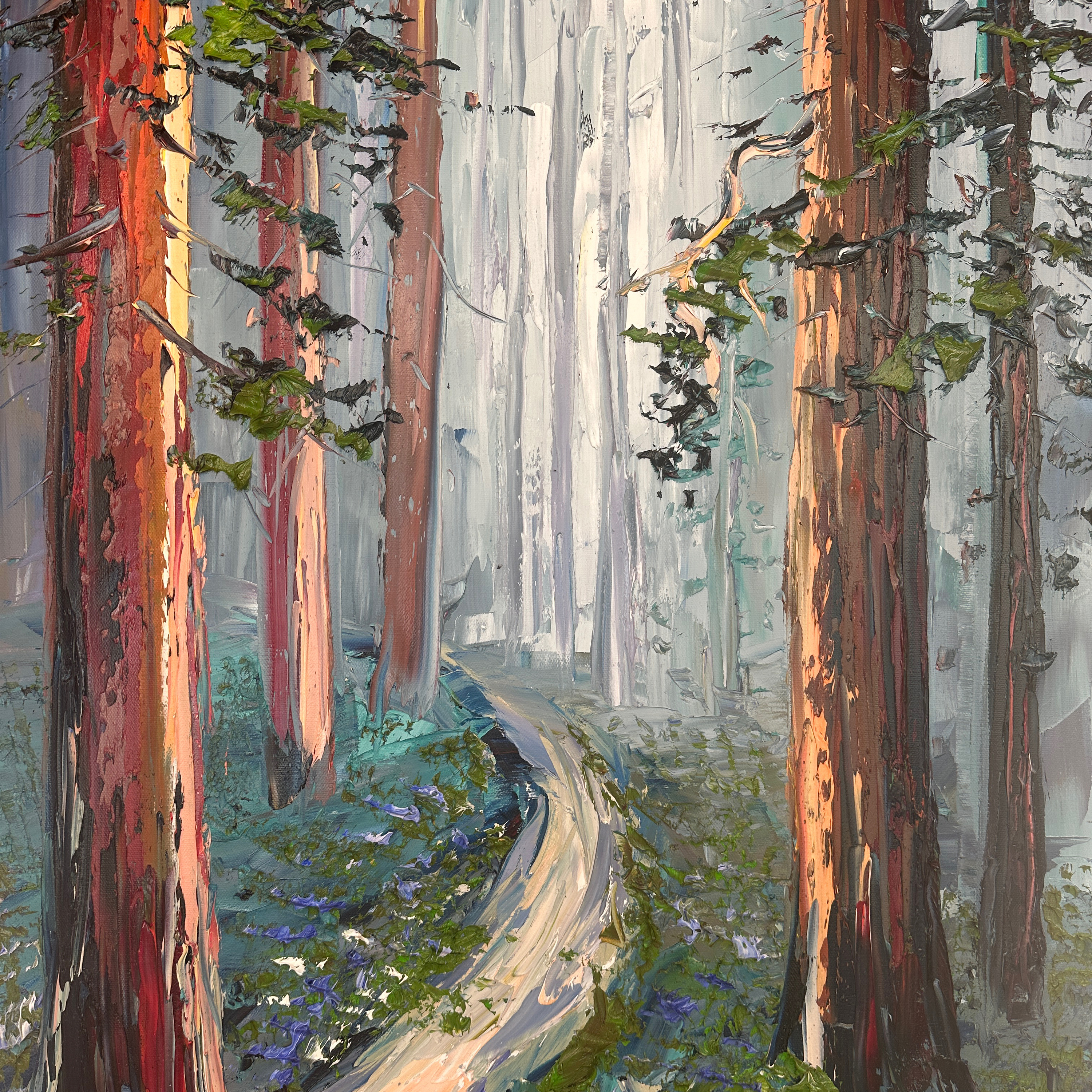 Redwoods Meditation episode artwork