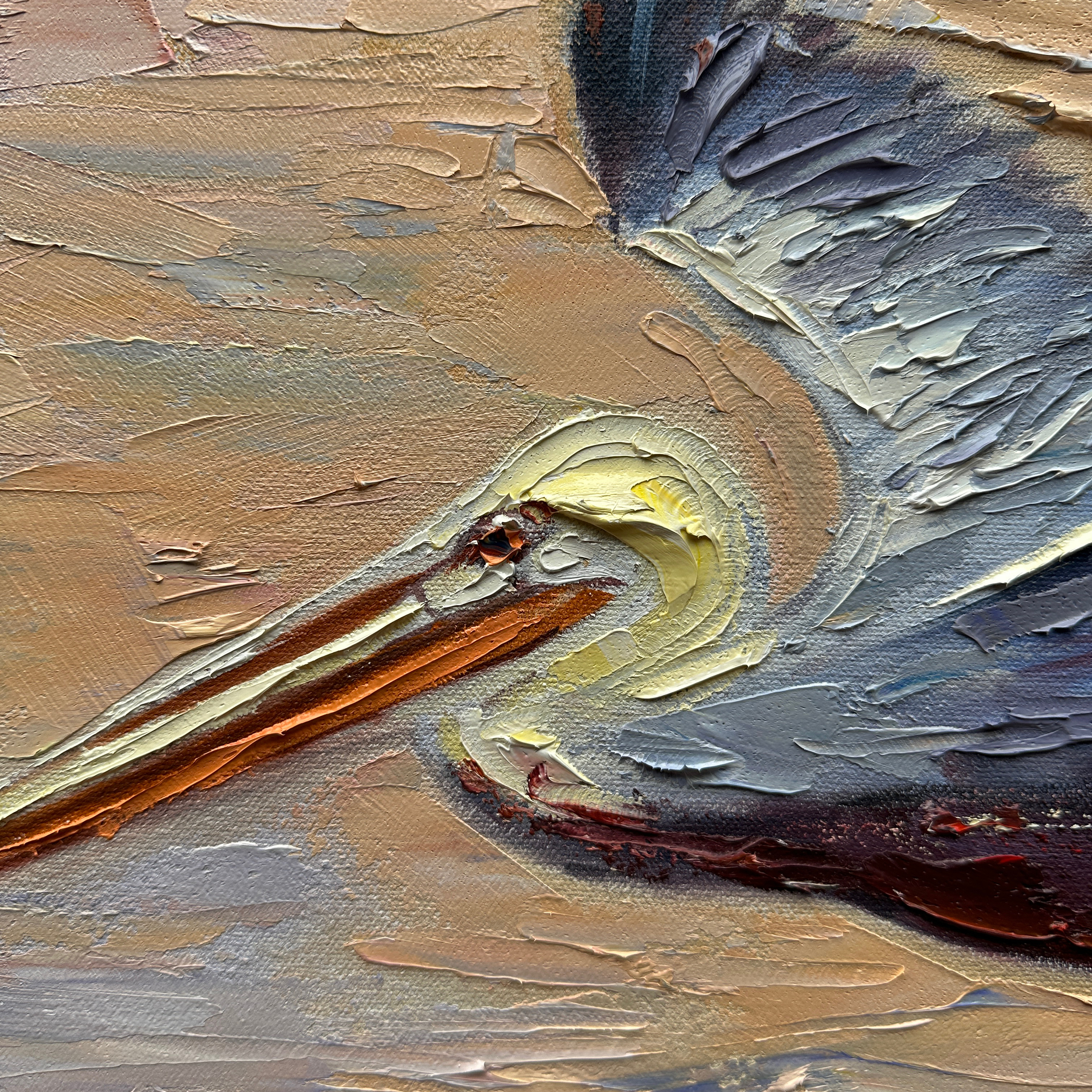 Pelican Glide: 8 Minute Meditation on Effortless Motion episode artwork