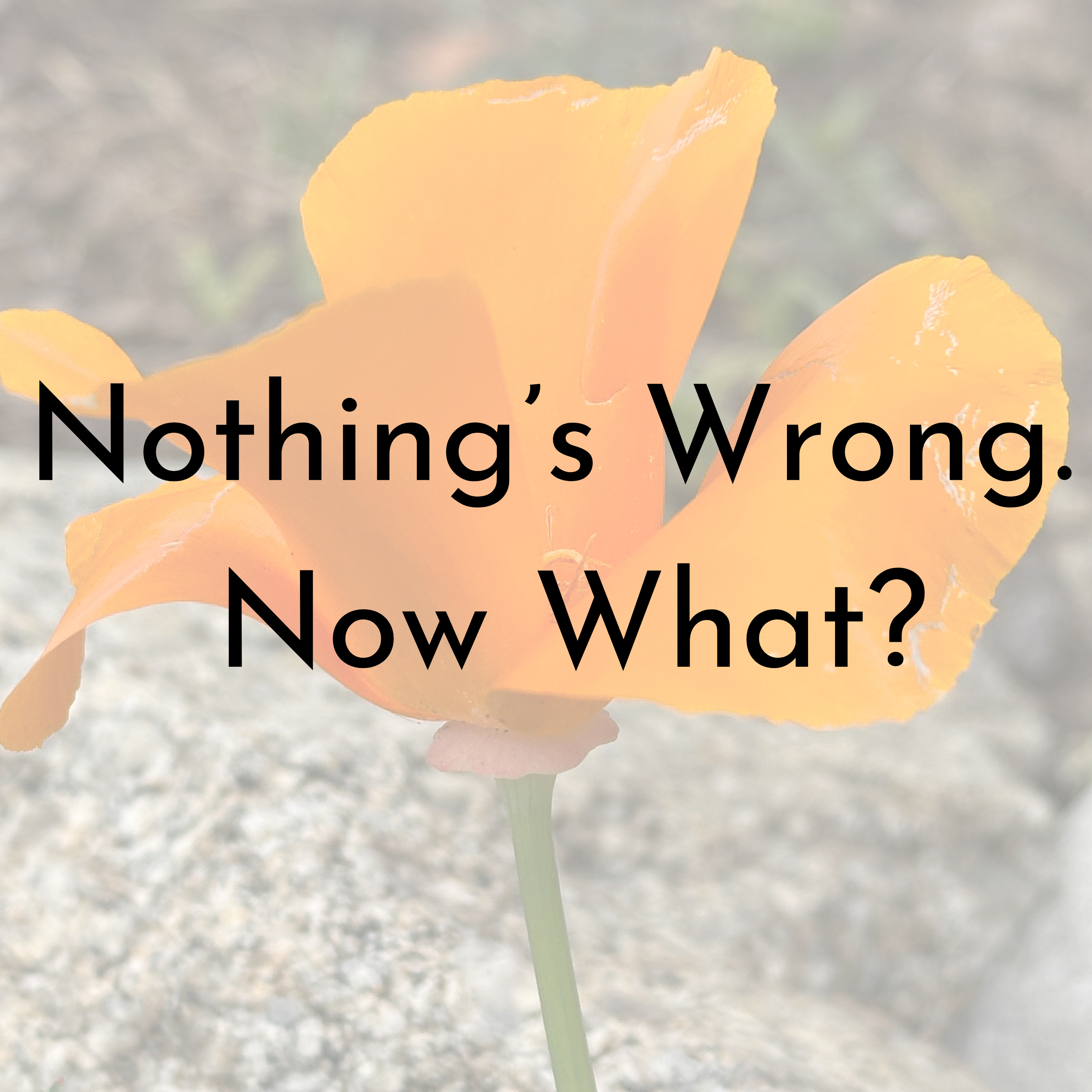 Nothing’s Wrong. Now What? episode artwork