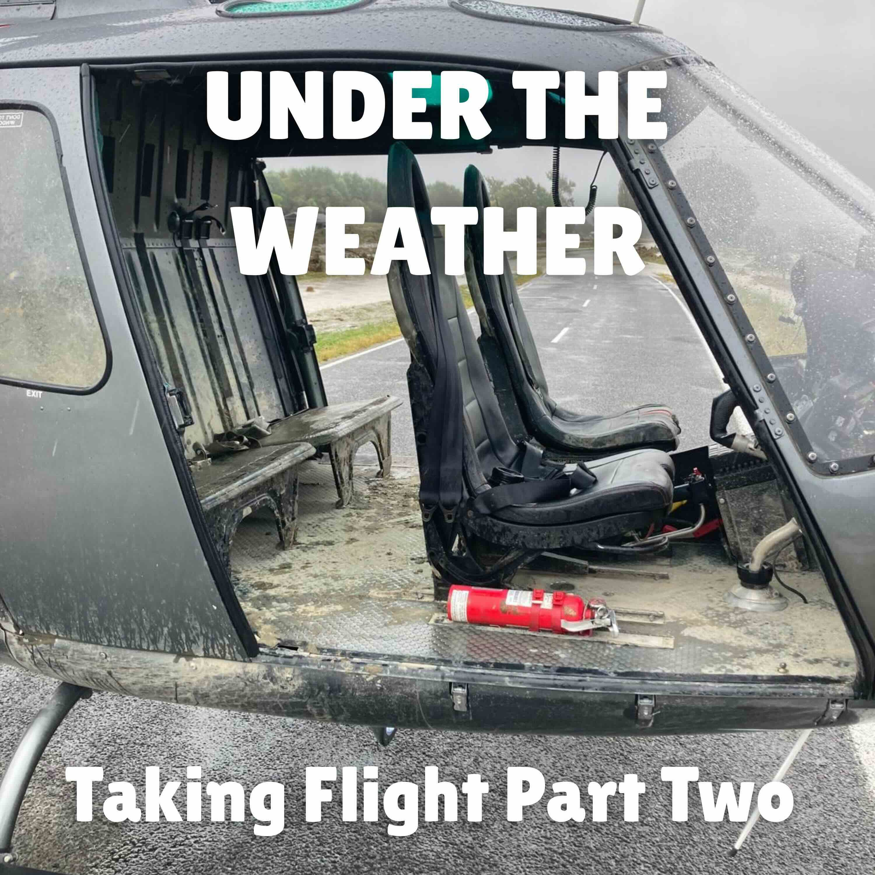 Taking Flight – Part Two