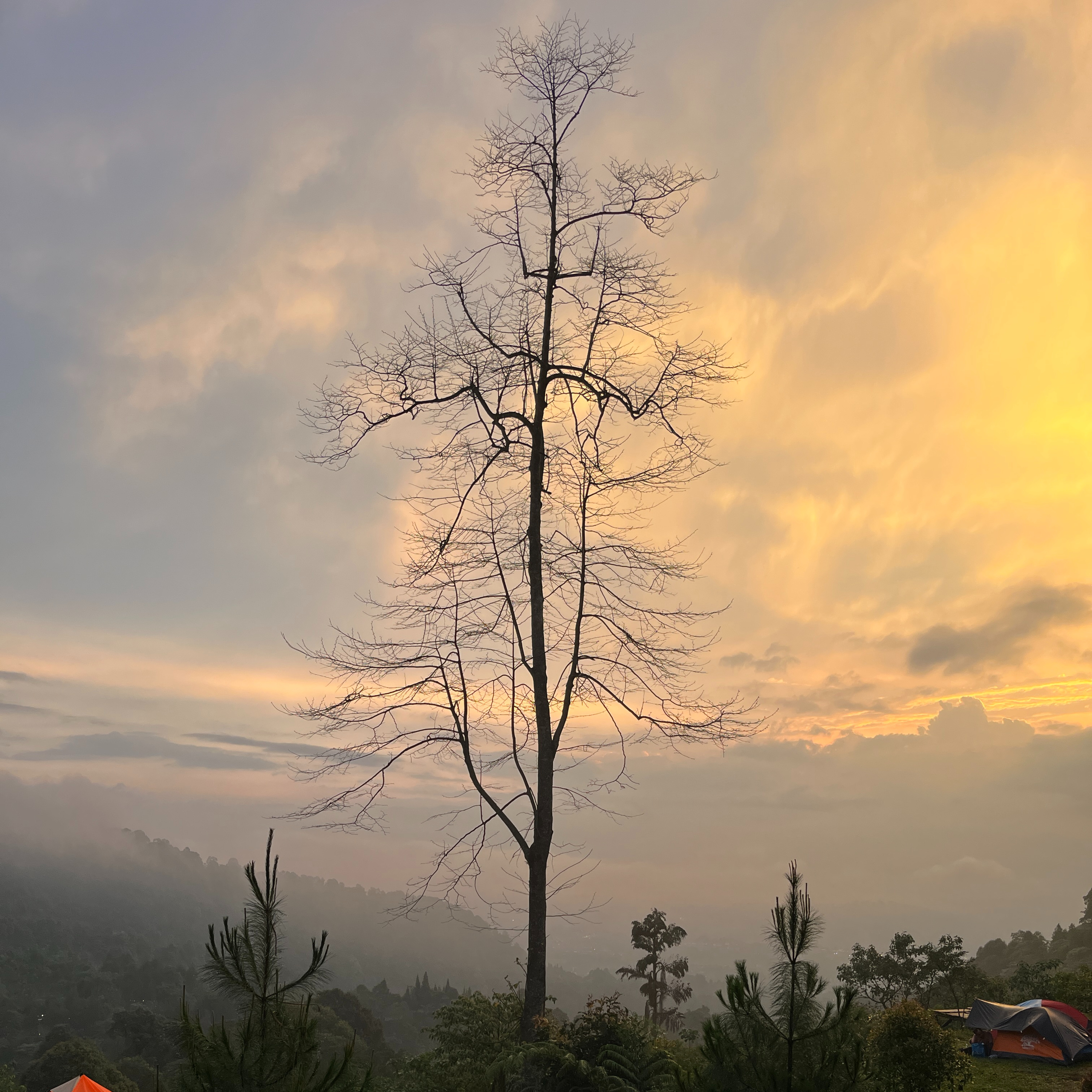Jangan Dipaksa