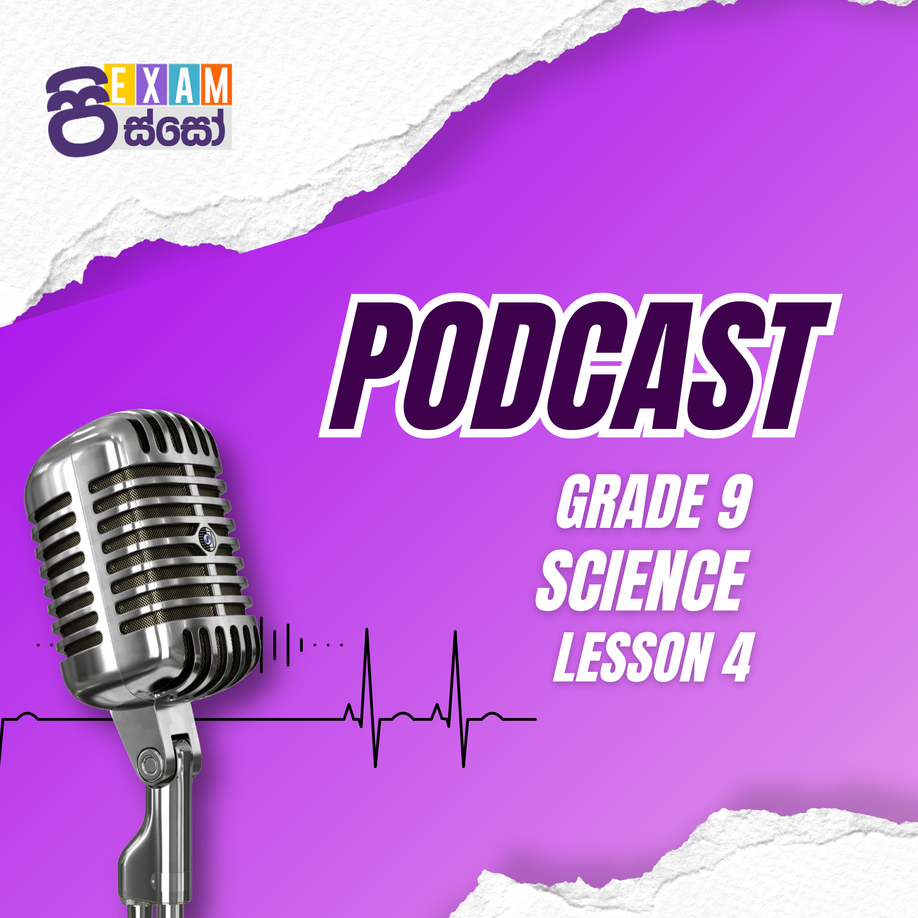 Grade 10 Sinhala Lesson | ඇතීතයෙන් කතාවක් – Exam Pisso