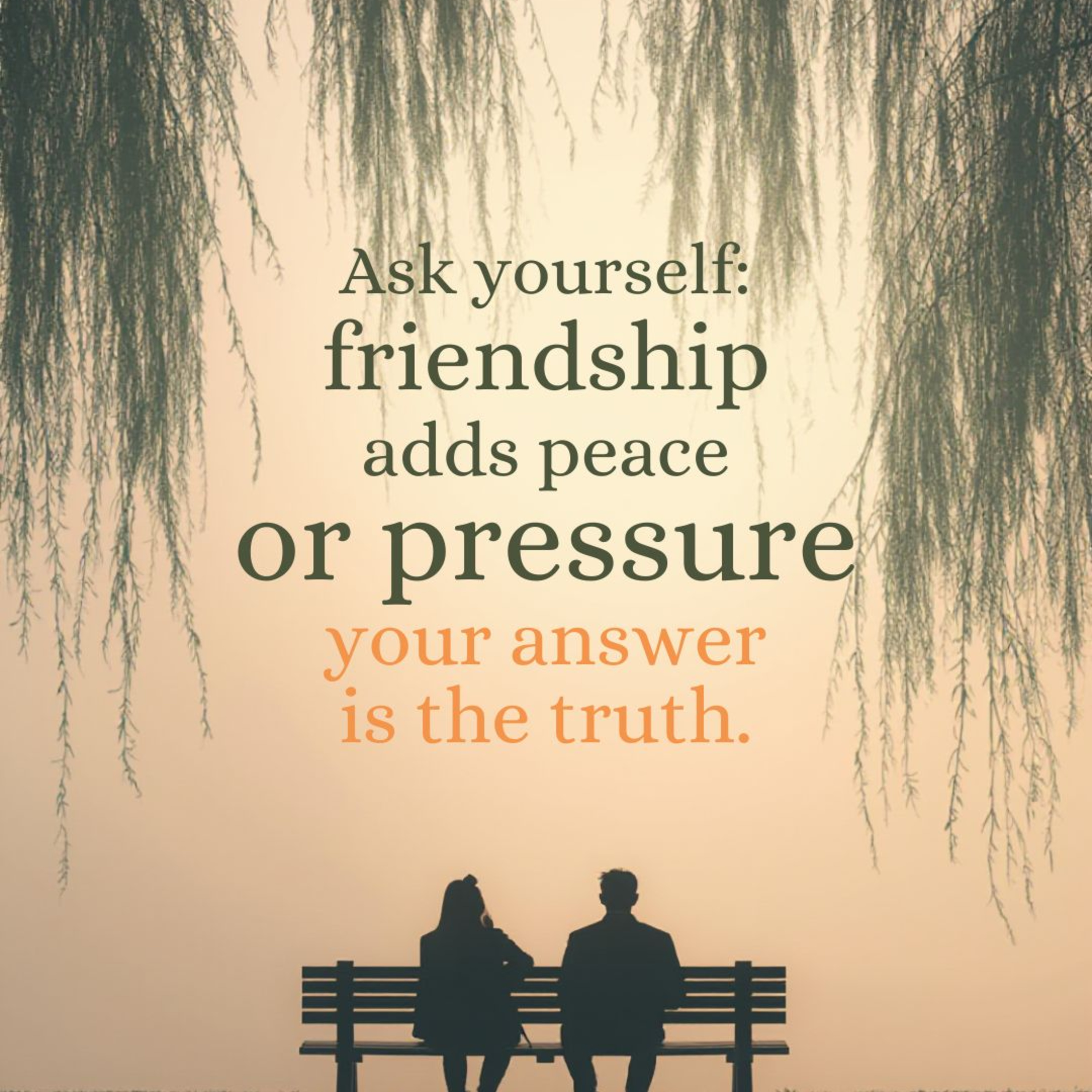 "Friendship: Peace or Pressure?" episode artwork