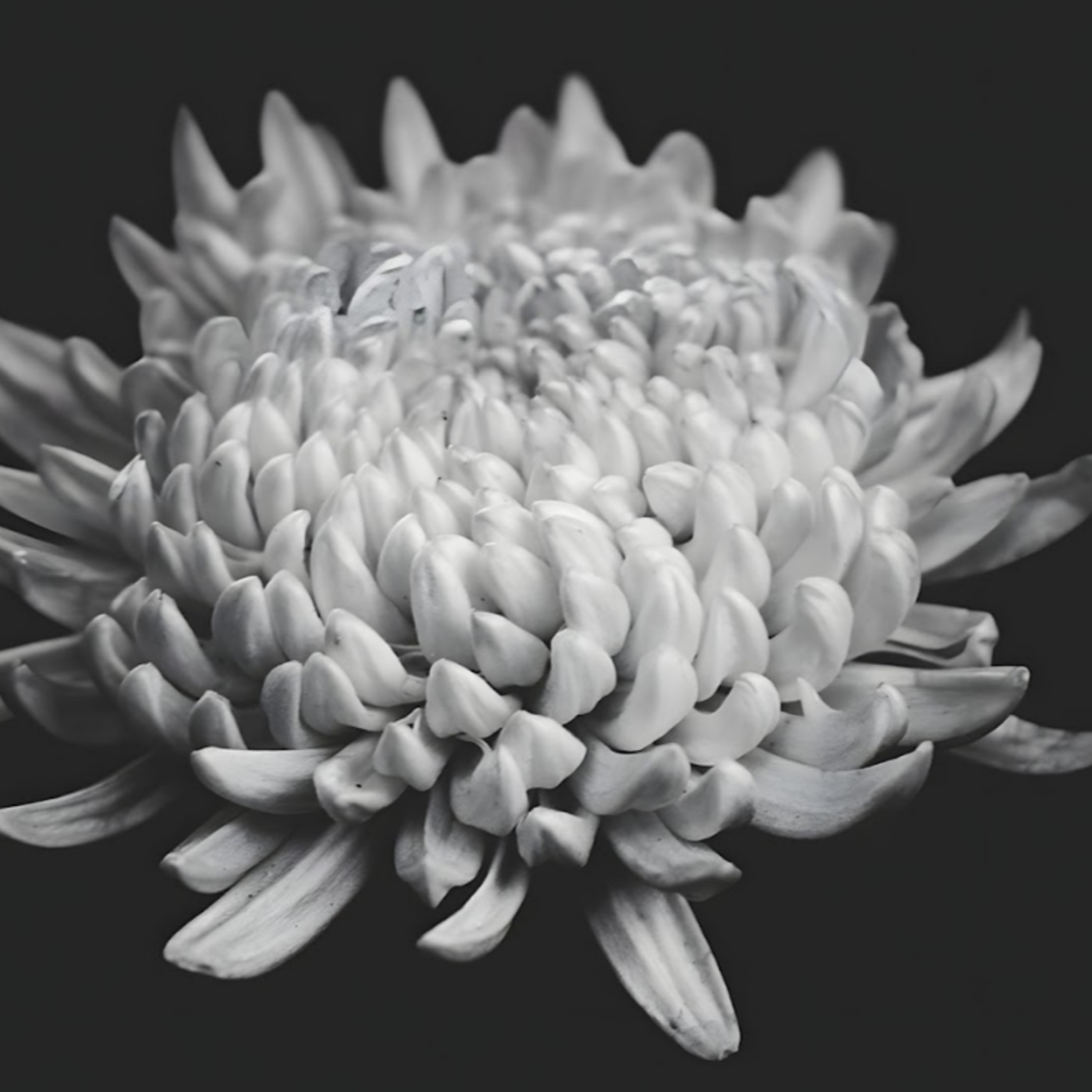 Ảnh Buồn Tâm Trạng