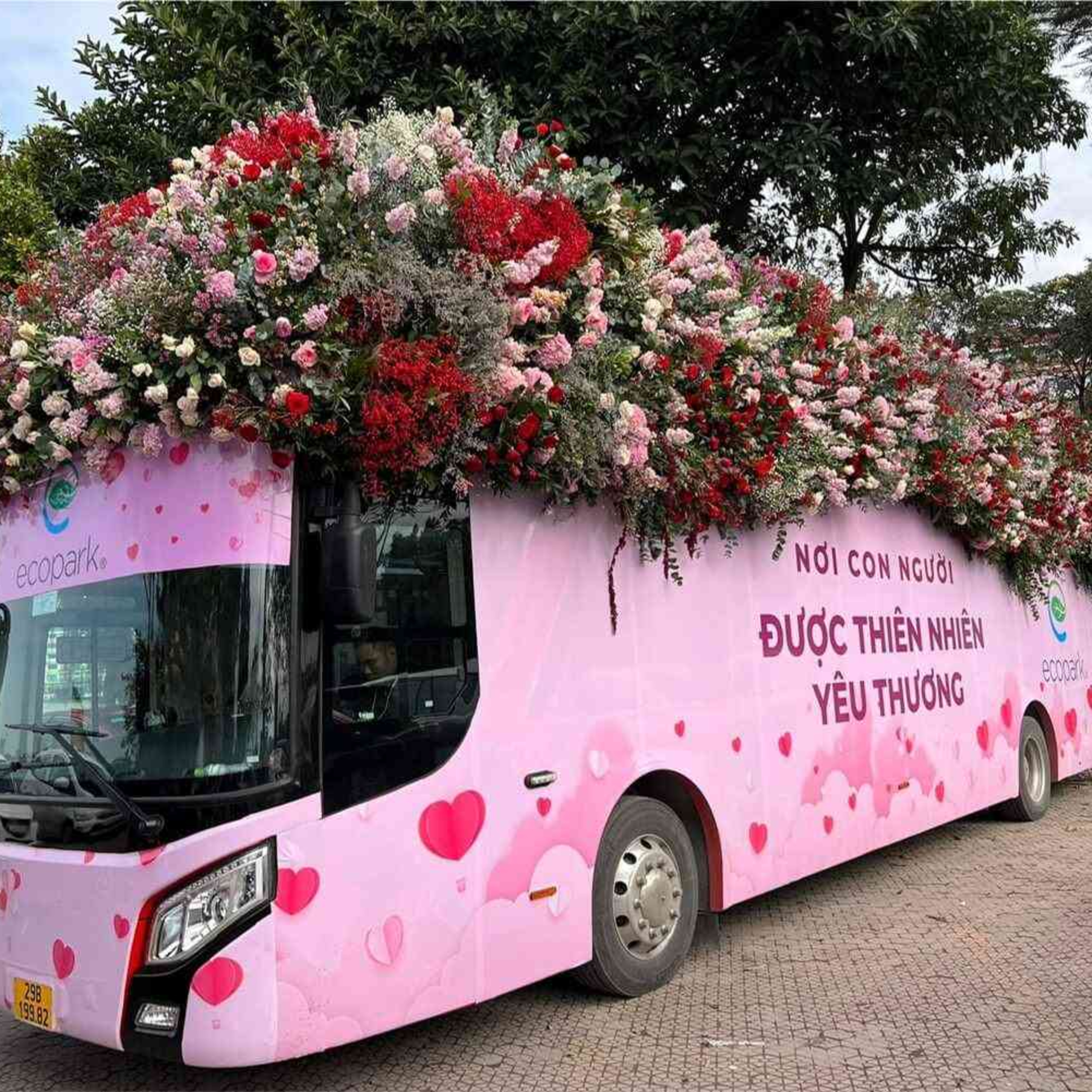 Quảng cáo Phoenix