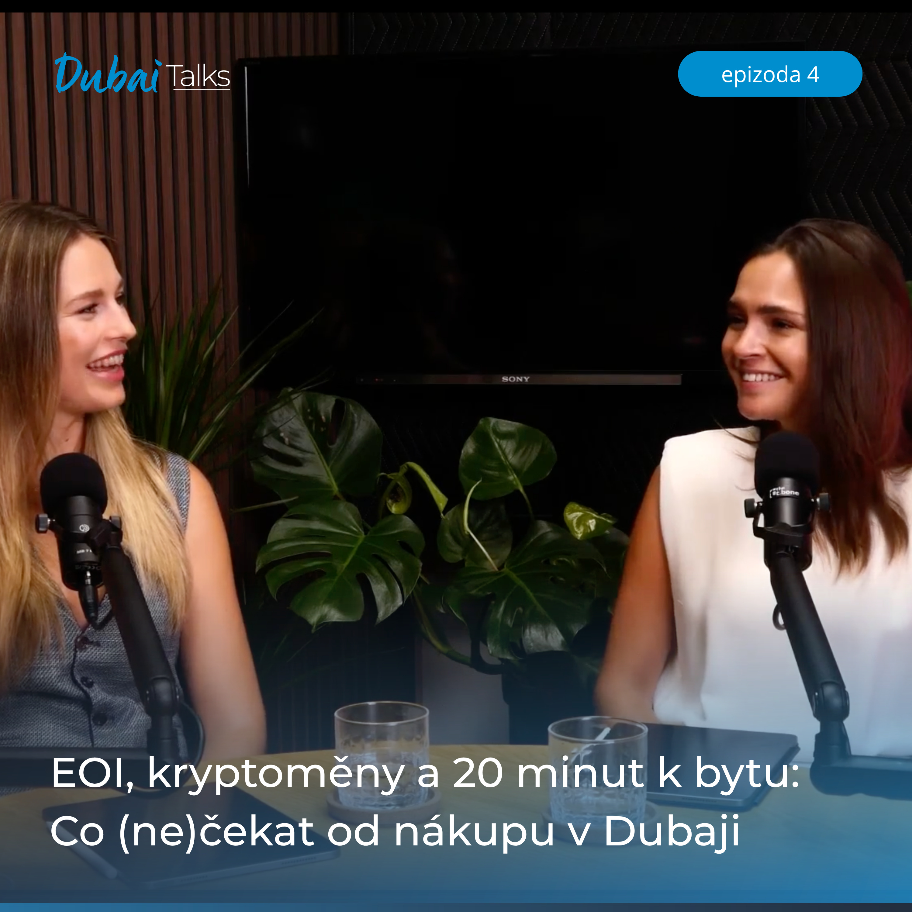 EOI, kryptoměny a 20 minut k bytu: Co (ne)čekat od nákupu v Dubaji episode artwork