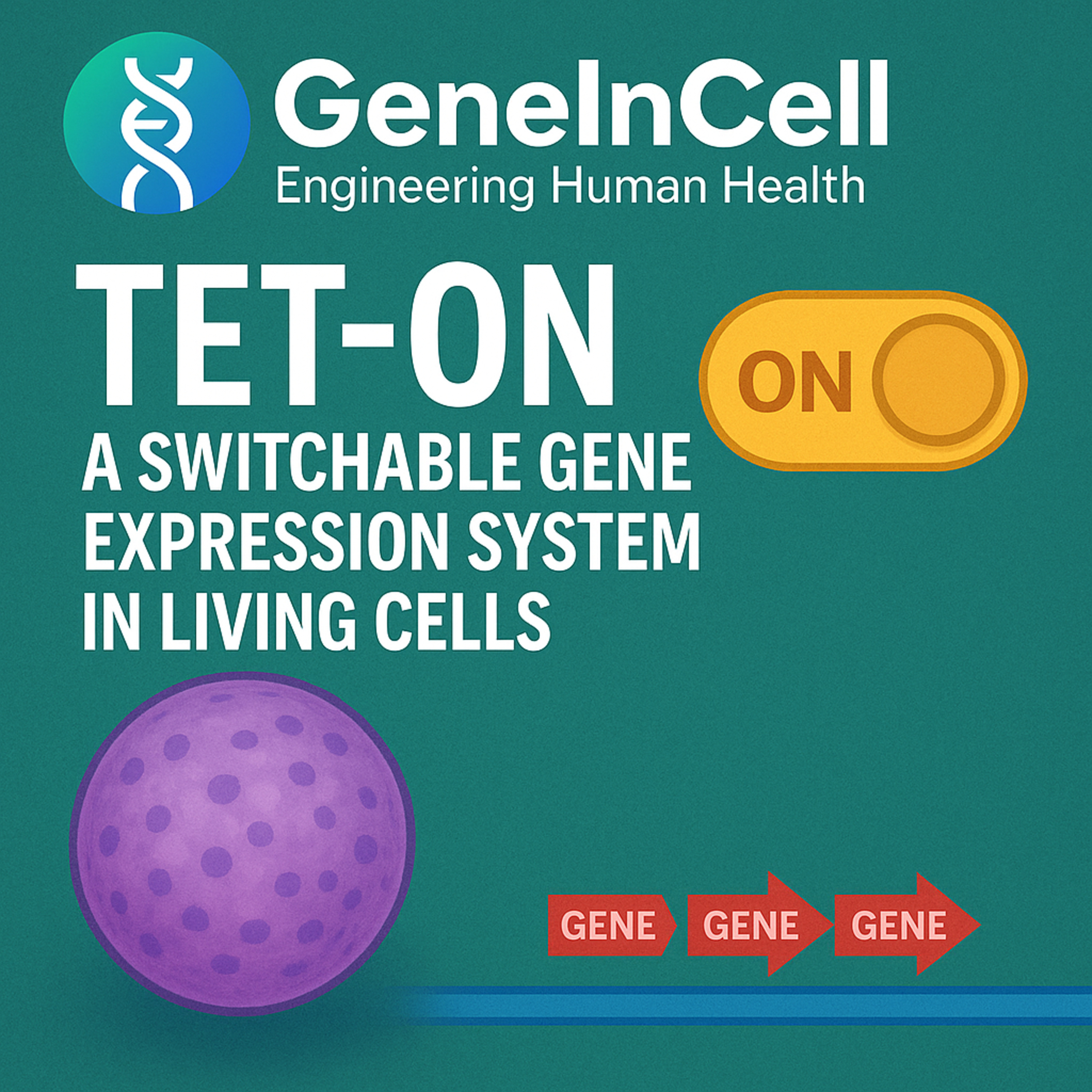 PiggyBac Transposons-A Switchable, High-Capacity Gene Delivery System in Living Cells episode artwork