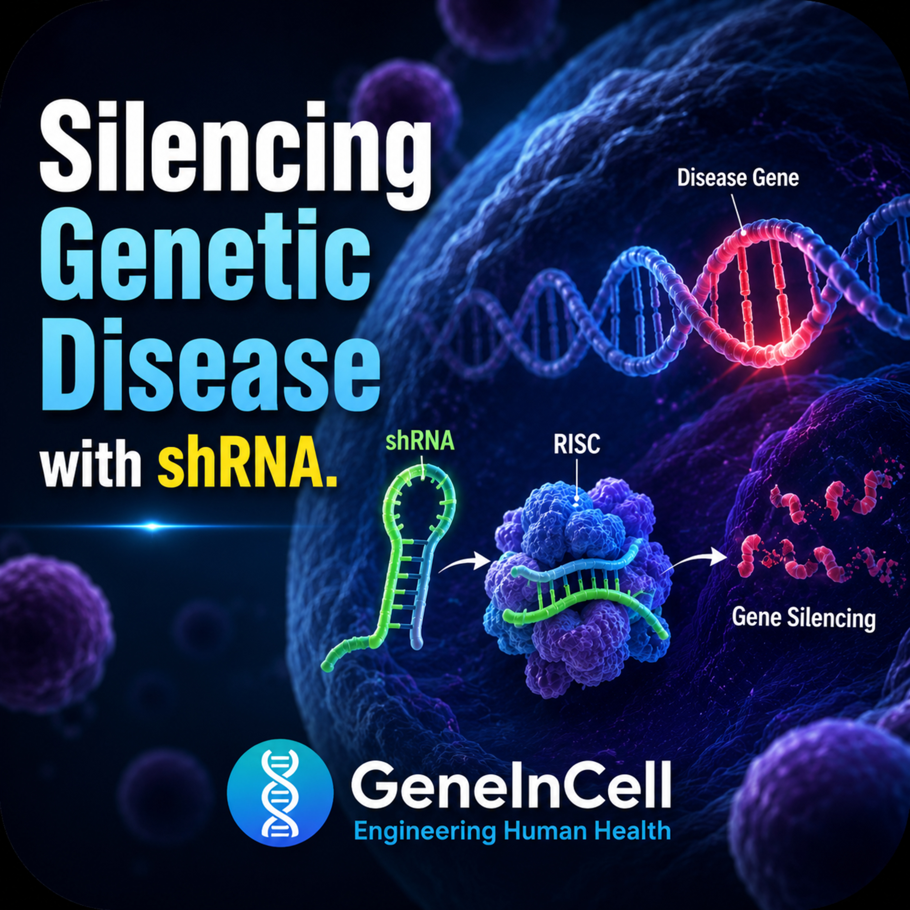 Silencing Genetic Disease with shRNA | GeneInCell | 2026 episode artwork
