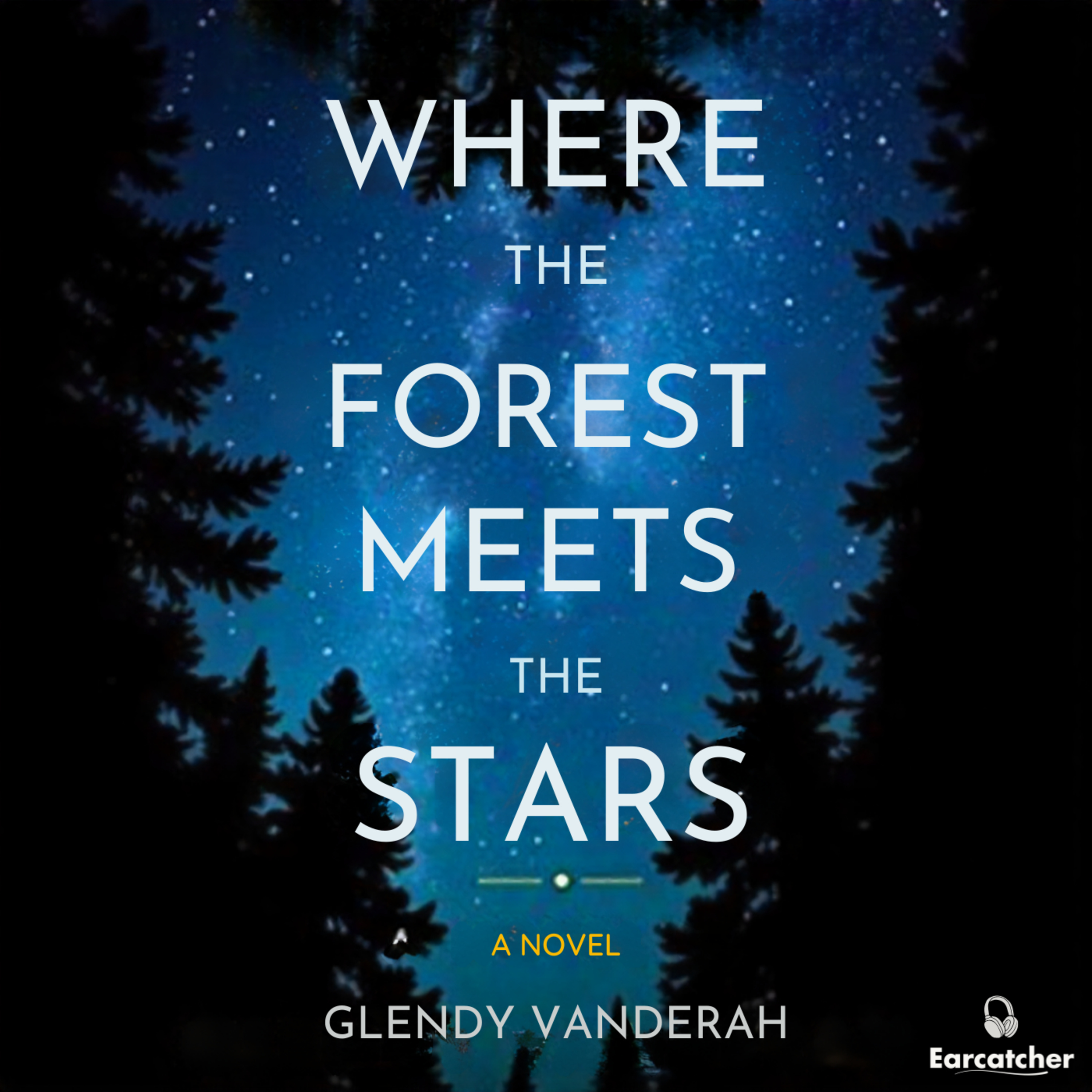 Where the Forest Meets the Stars by Glendy Vanderah | Mystery, healing, and the magic of connection