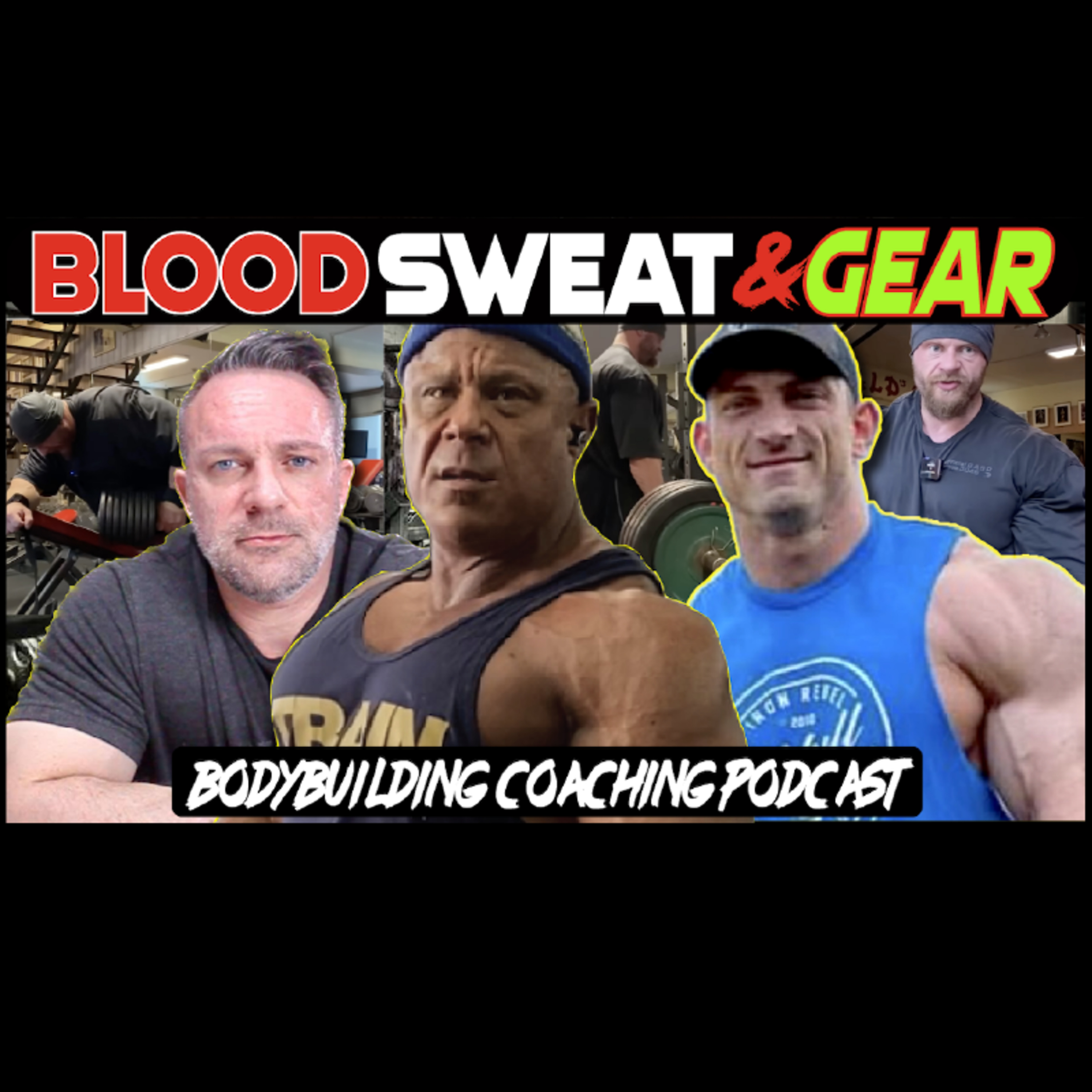 Blood Sweat & Gear 314 Hollingshead Training Reaction + PED QA