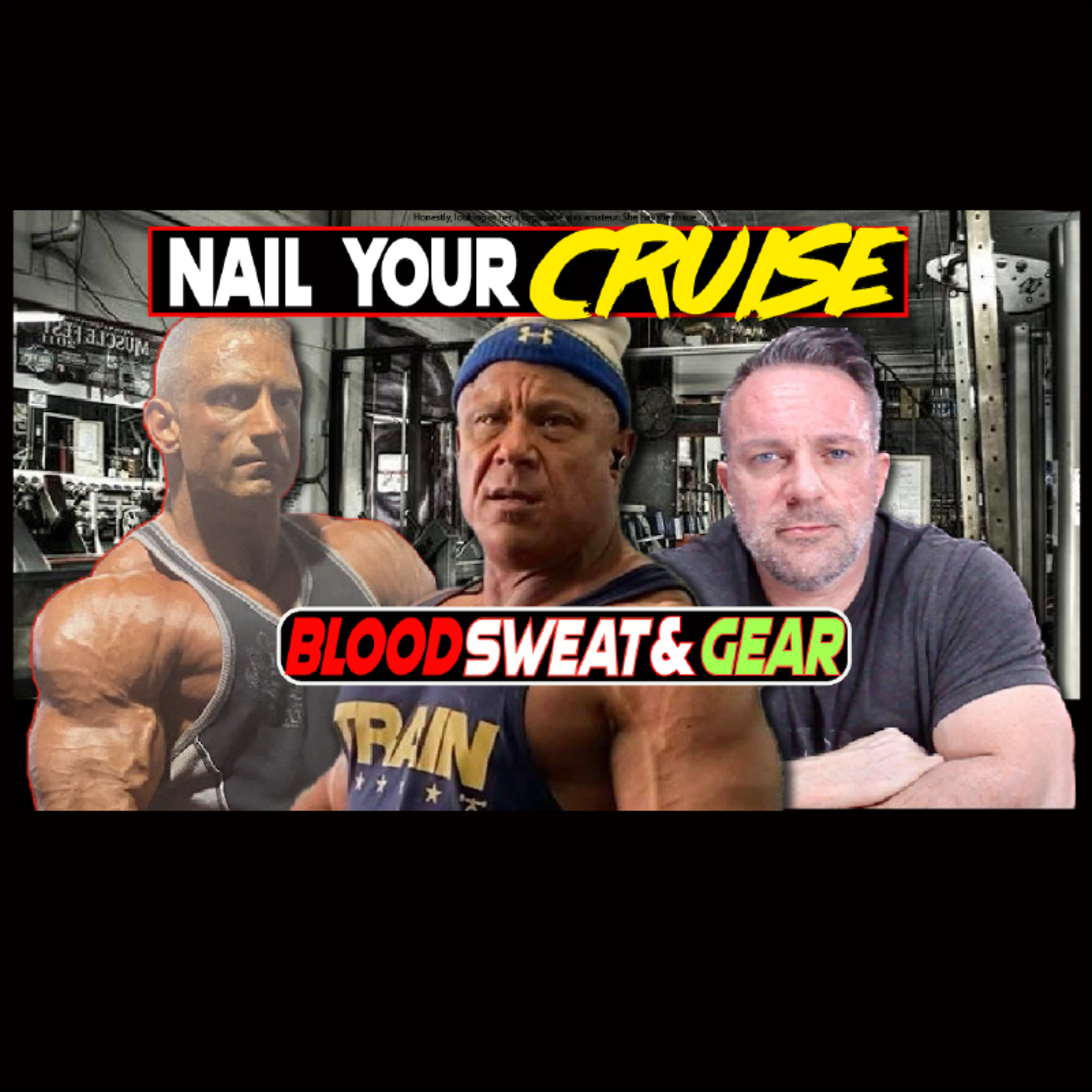 Blood Sweat & Gear 330 How to Nail Your Cruise Phase Between Steroid Cycles (Health, Recovery & Muscle Retention)