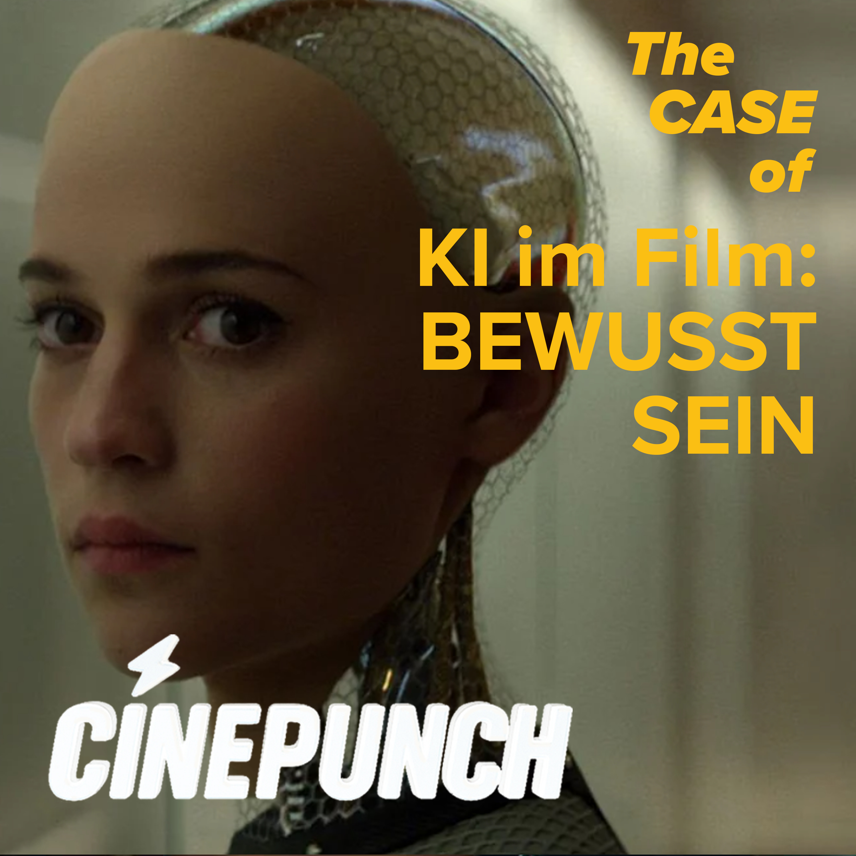 CINEPUNCH