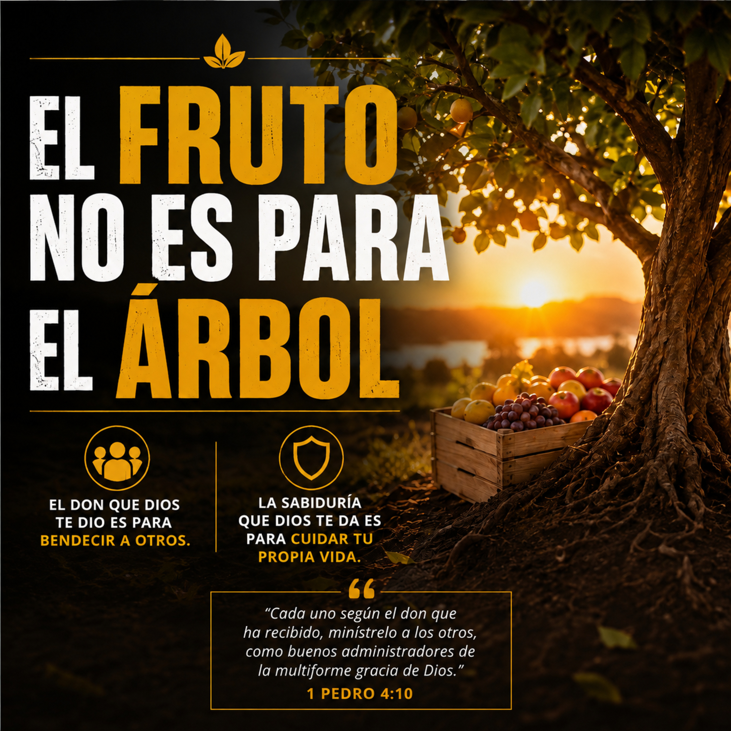 El fruto no es para el árbol episode artwork