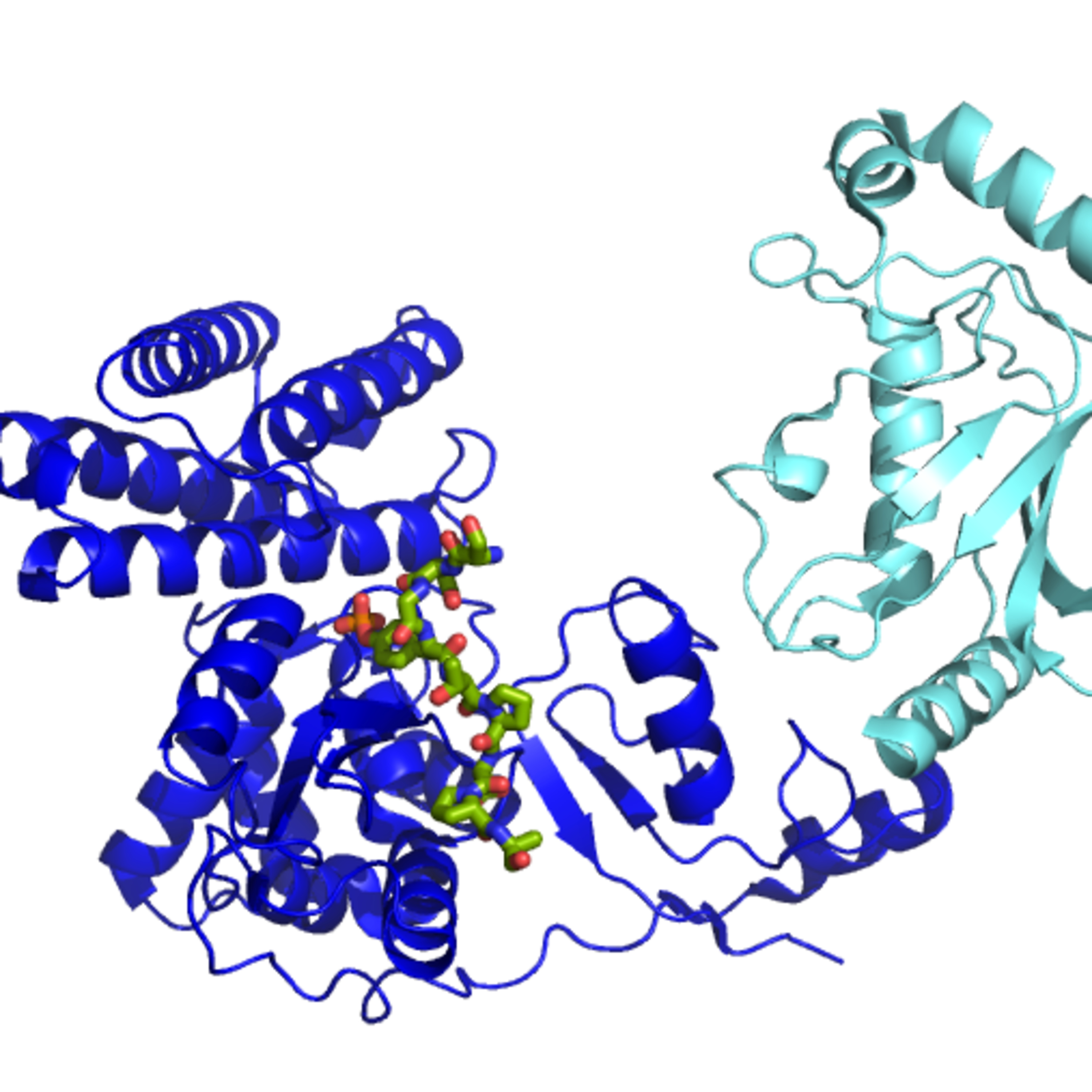 Ligase episode artwork