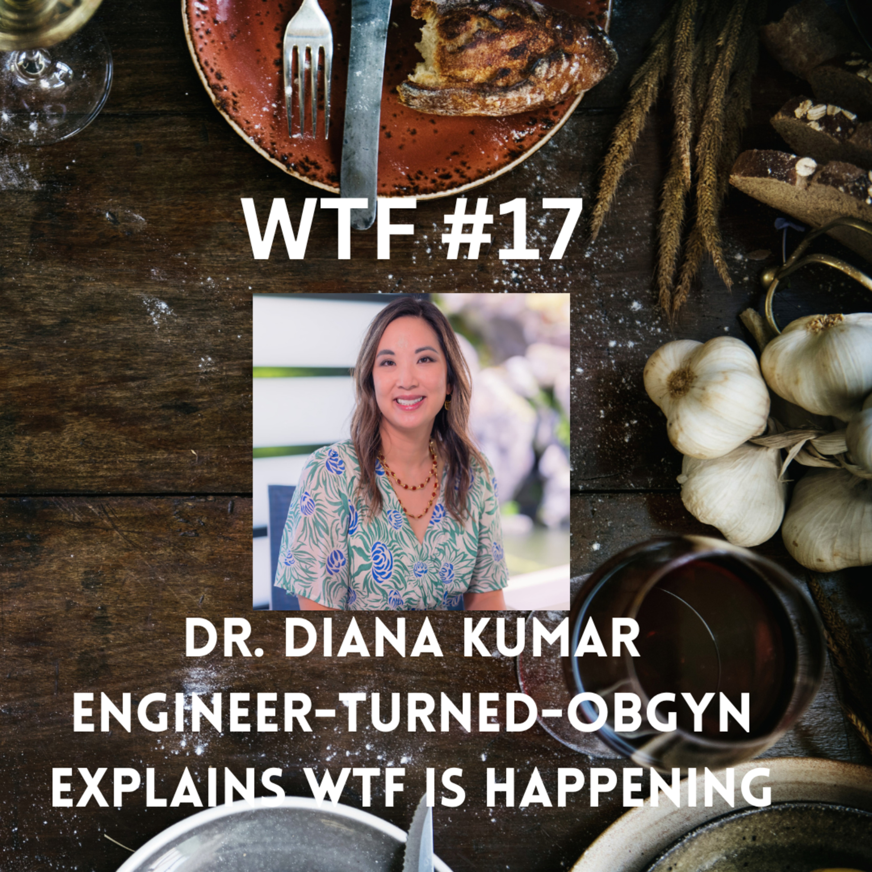 WTF #17: Engineer-Turned OBGYN Dr. Diana Kumar Explains WTF Is Happening episode artwork