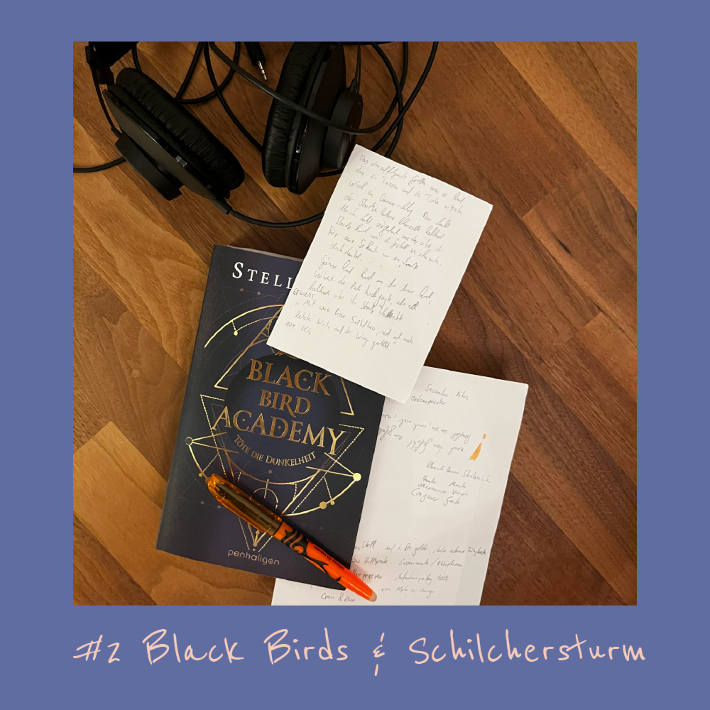 #2 - Black Birds & Schilchersturm episode artwork