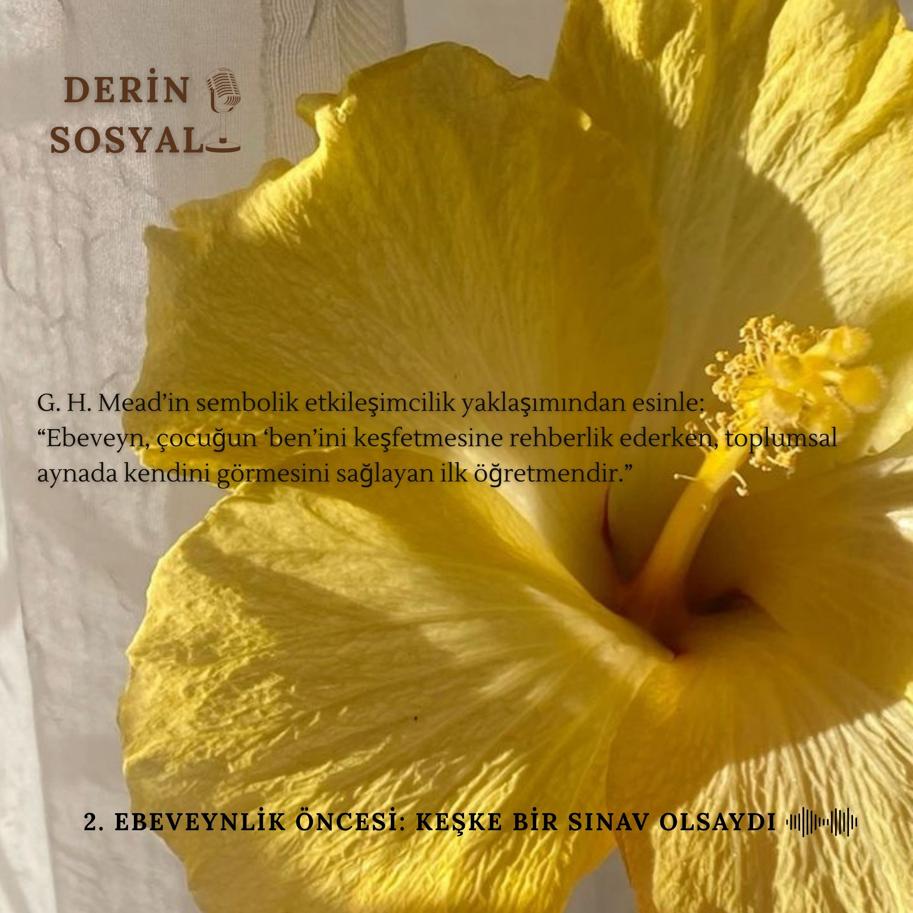 Ebeveynlik Öncesi Keşke Bir Sınav Olsaydı episode artwork
