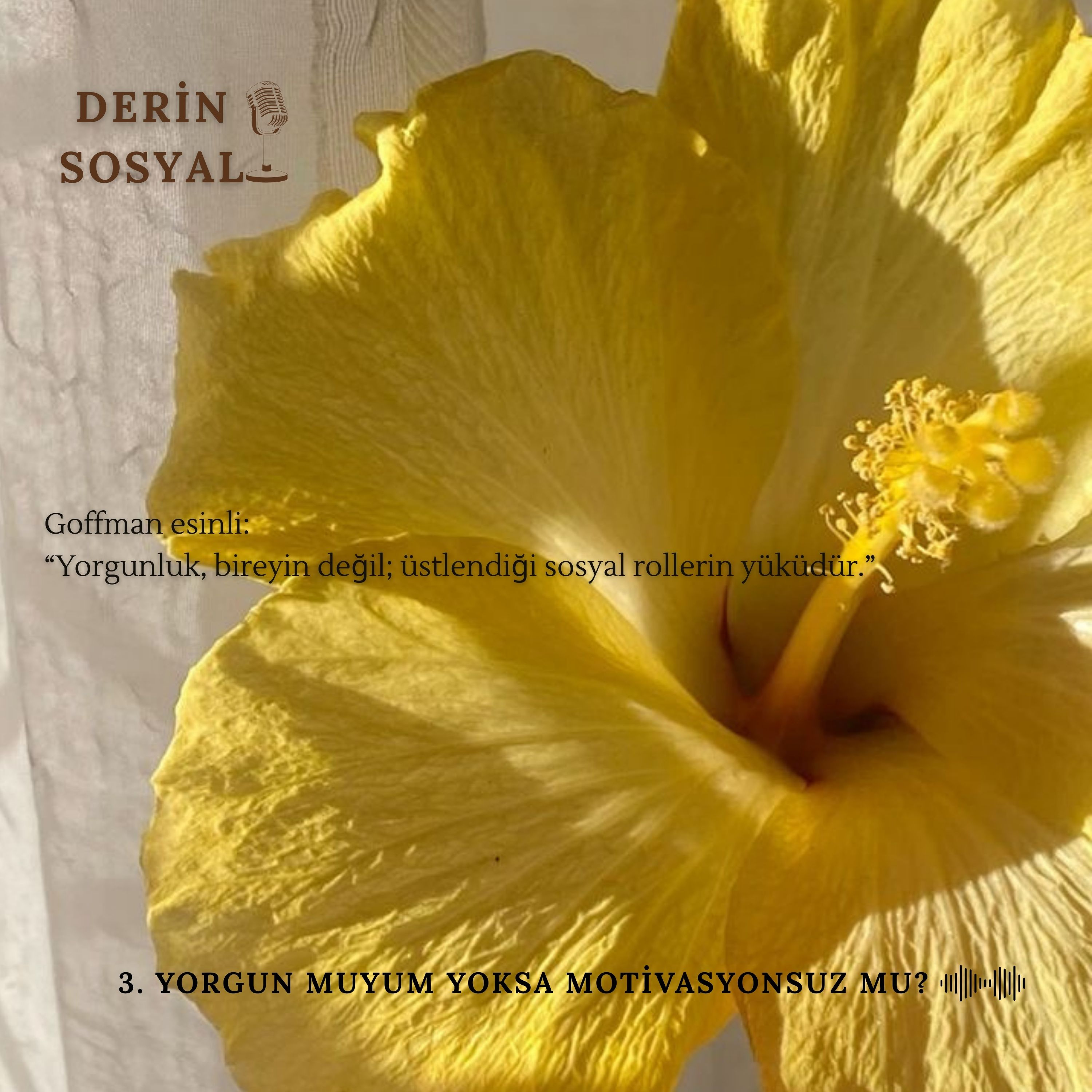 Yorgun Muyum Yoksa Motivasyonsuz mu? episode artwork