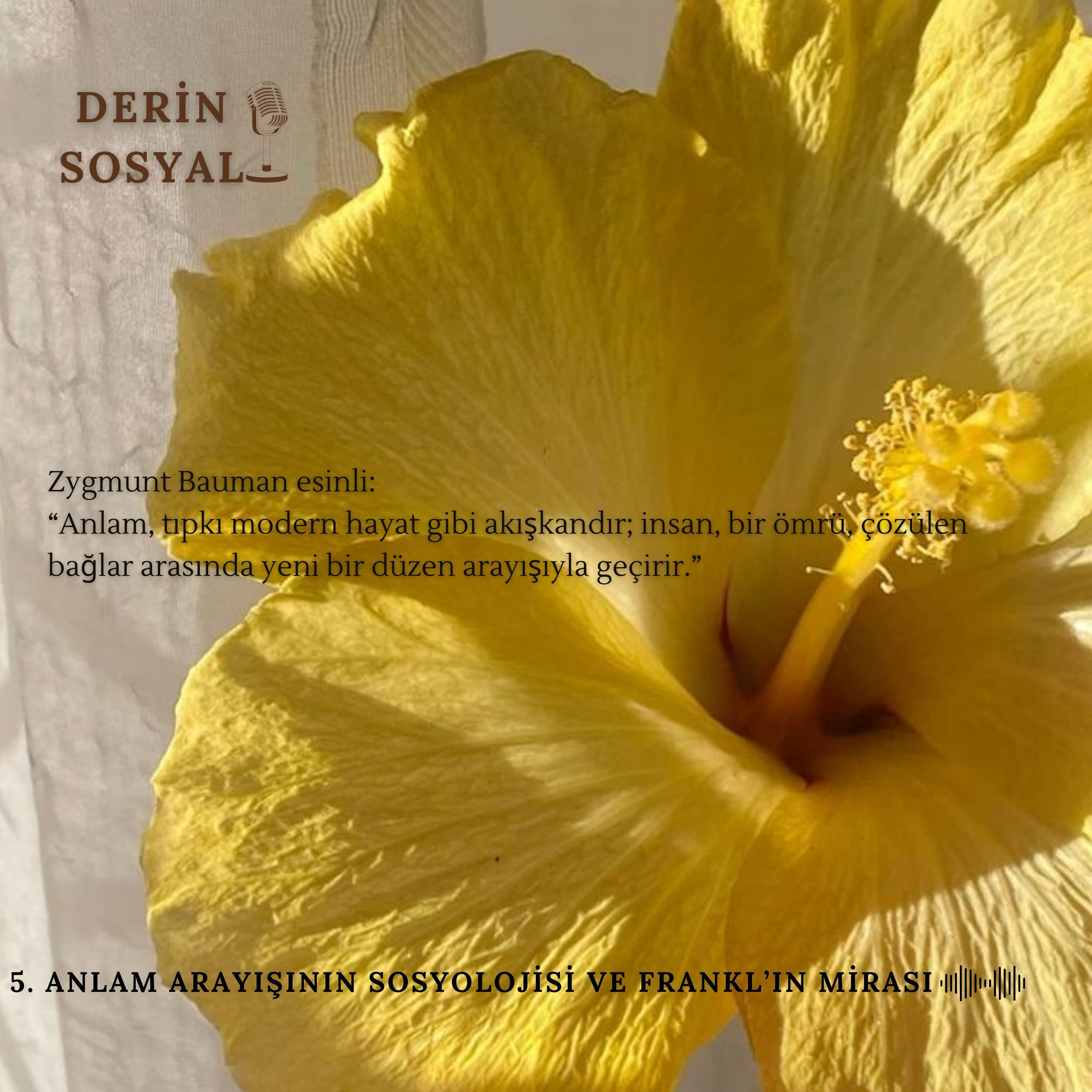 Anlam Arayışının Sosyolojisi ve Frankl’ın Mirası episode artwork