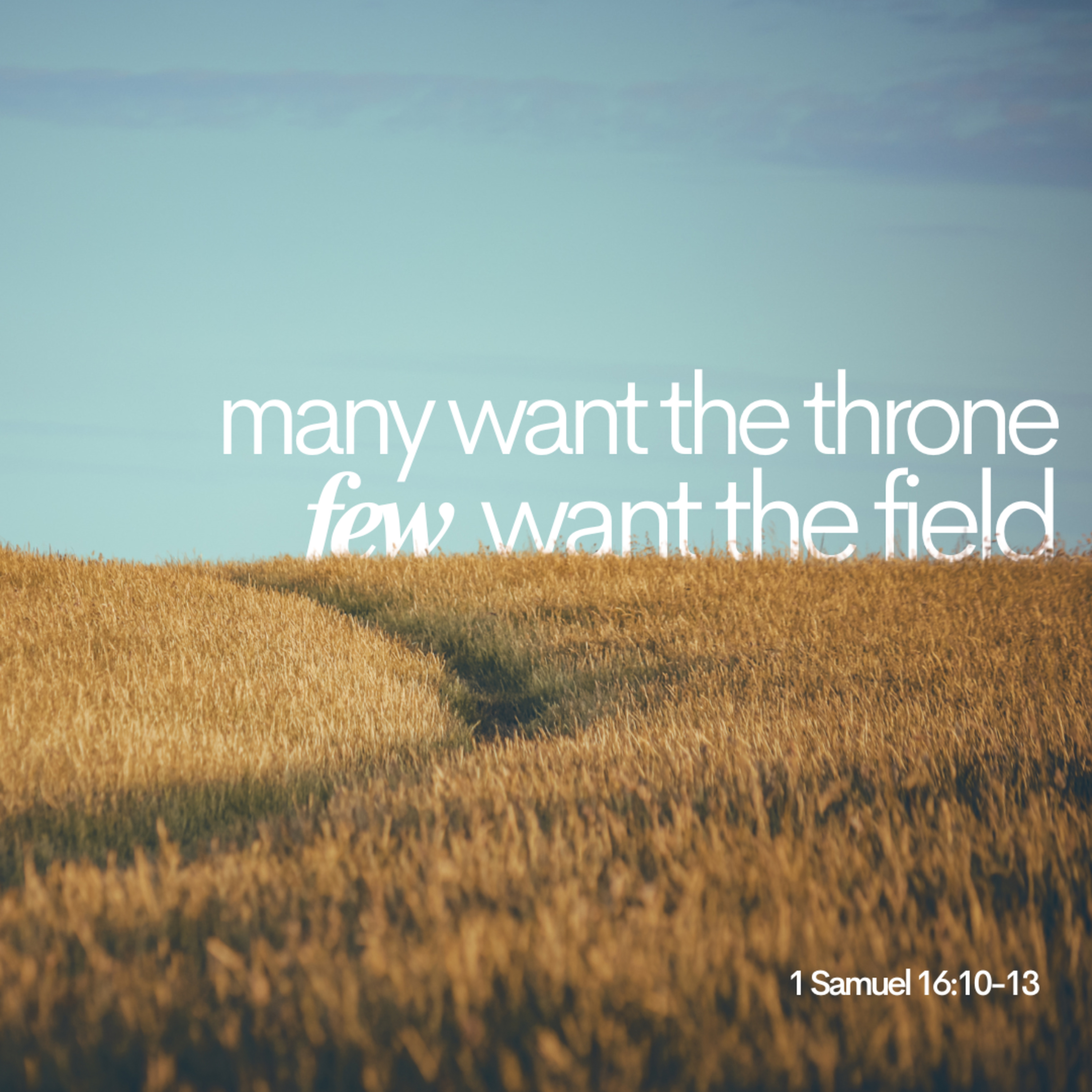 Many Want The Throne, Few Want The Field episode artwork
