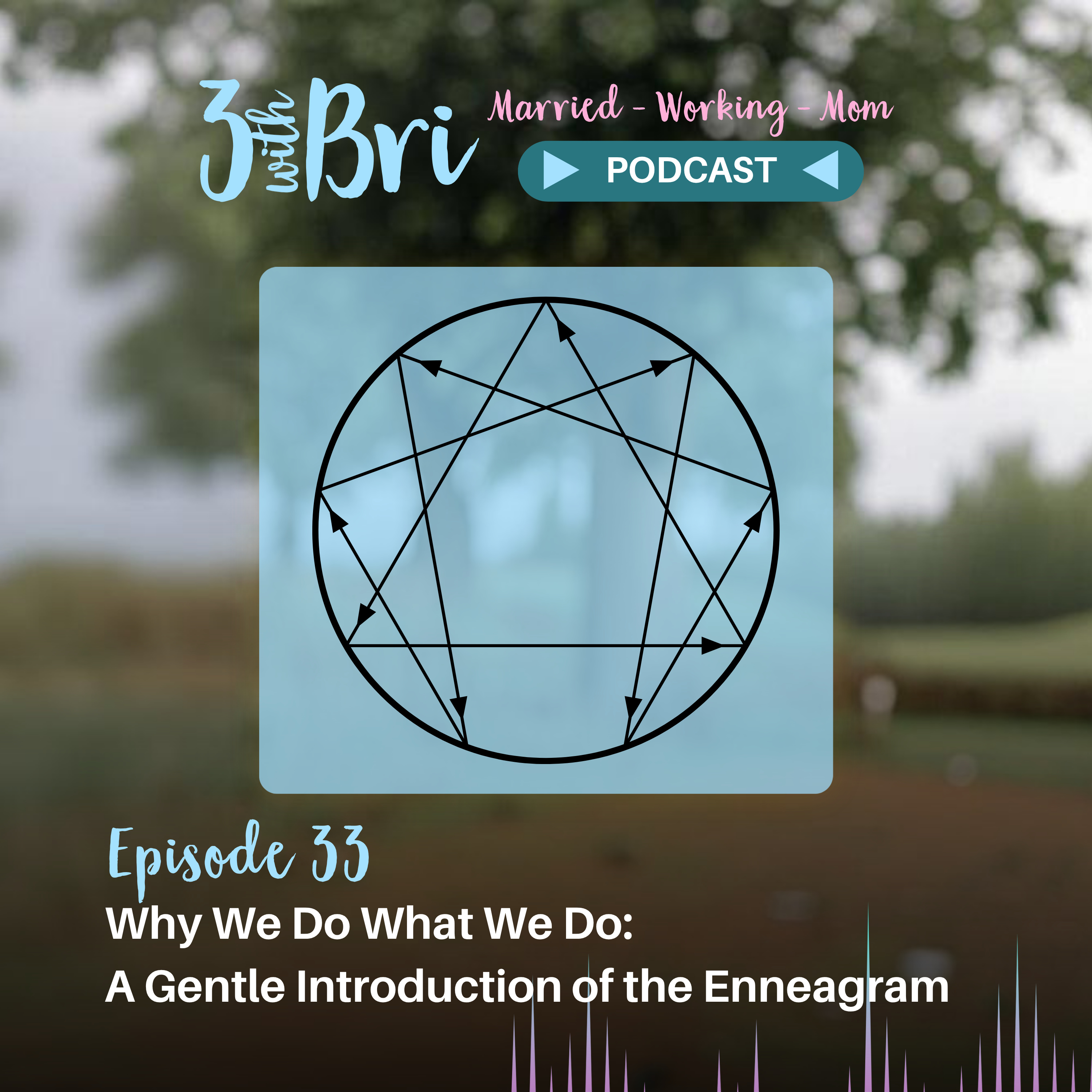 Why We Do What We Do: A Gentle Introduction to the Enneagram episode artwork