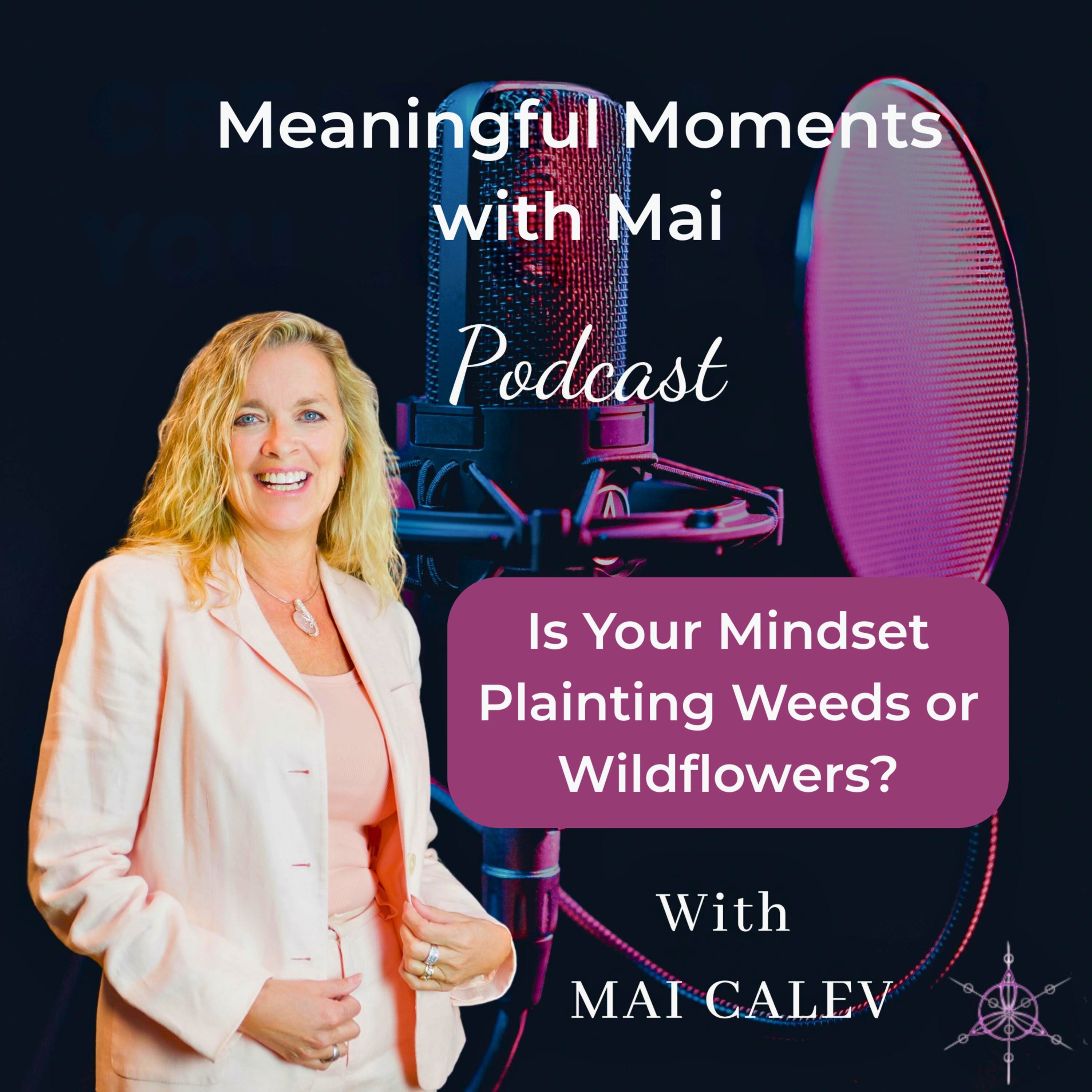 Is Your Mindset Plainting Weeds or Wildflowers? episode artwork