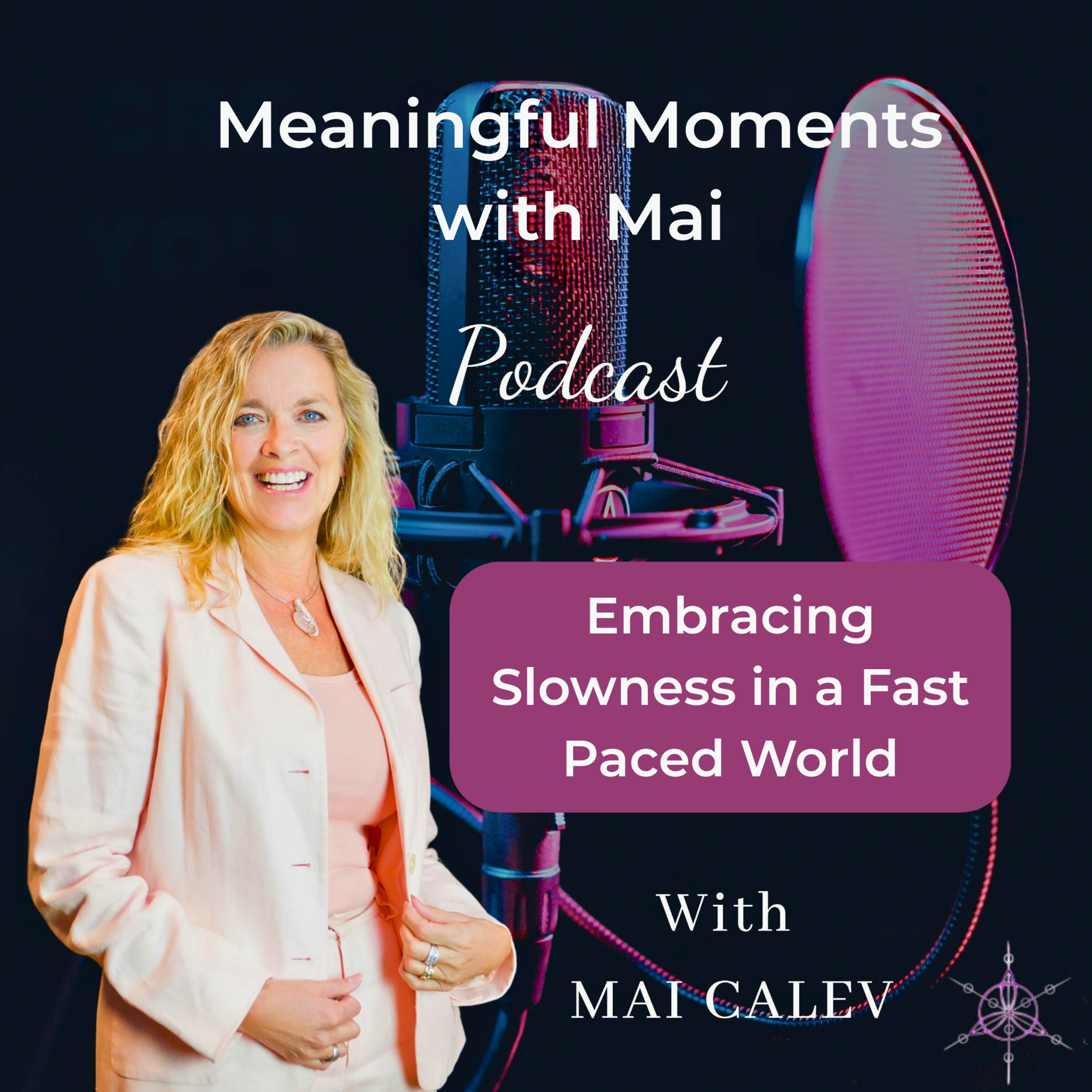 Embracing Slowness in a Fast Paced World episode artwork