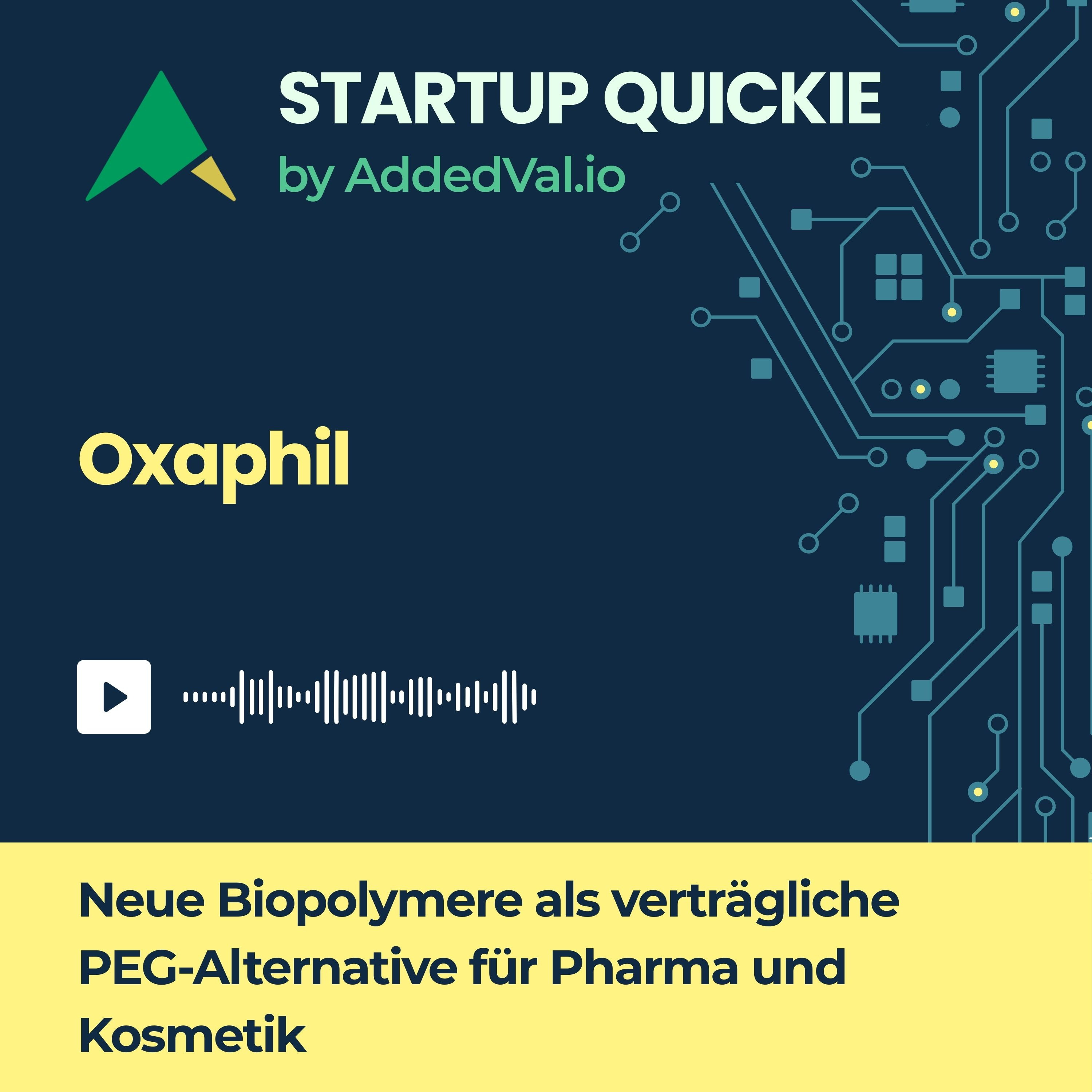 Startup Quickie – dein 5-Minuten-Investor-Update