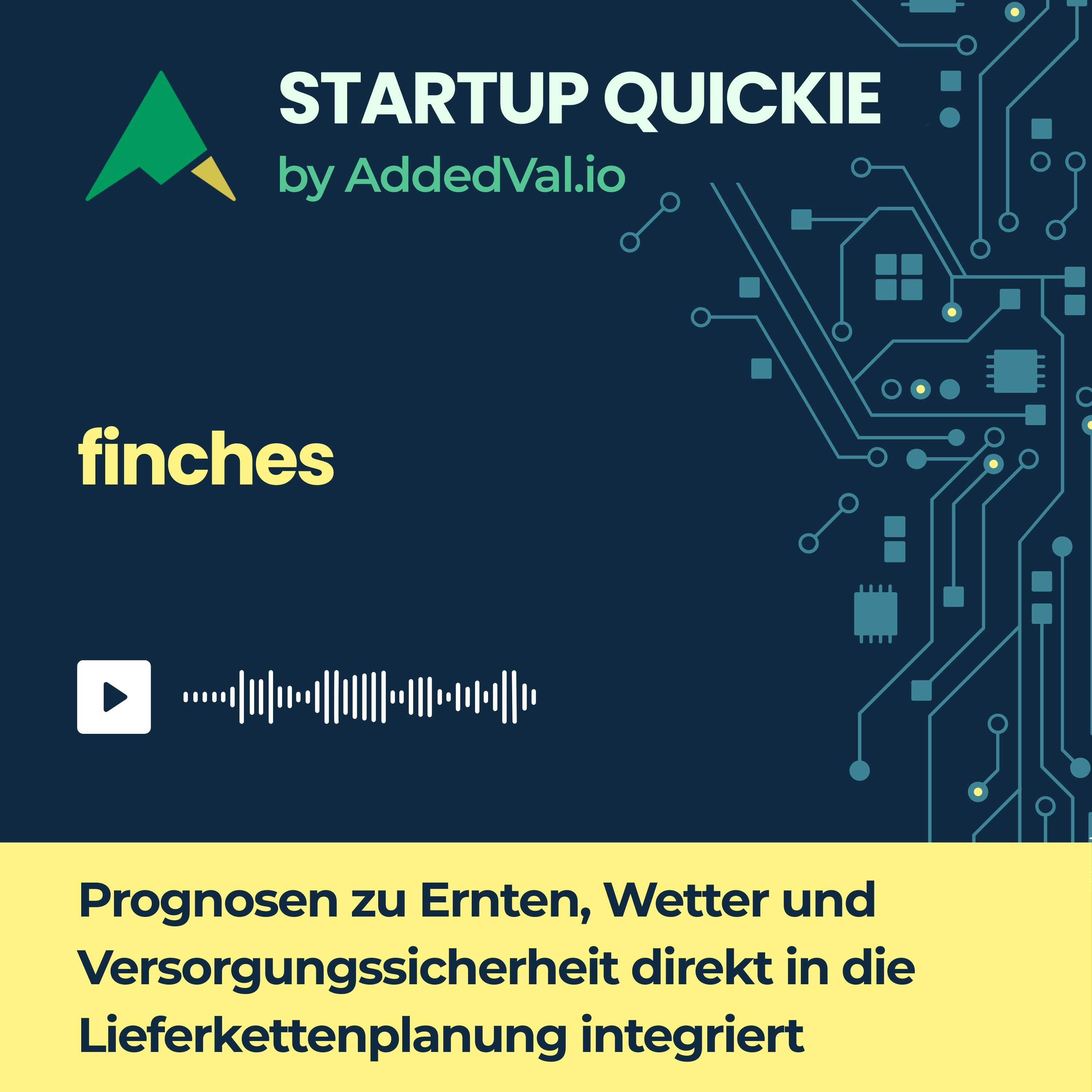 Startup Quickie – dein 5-Minuten-Investor-Update