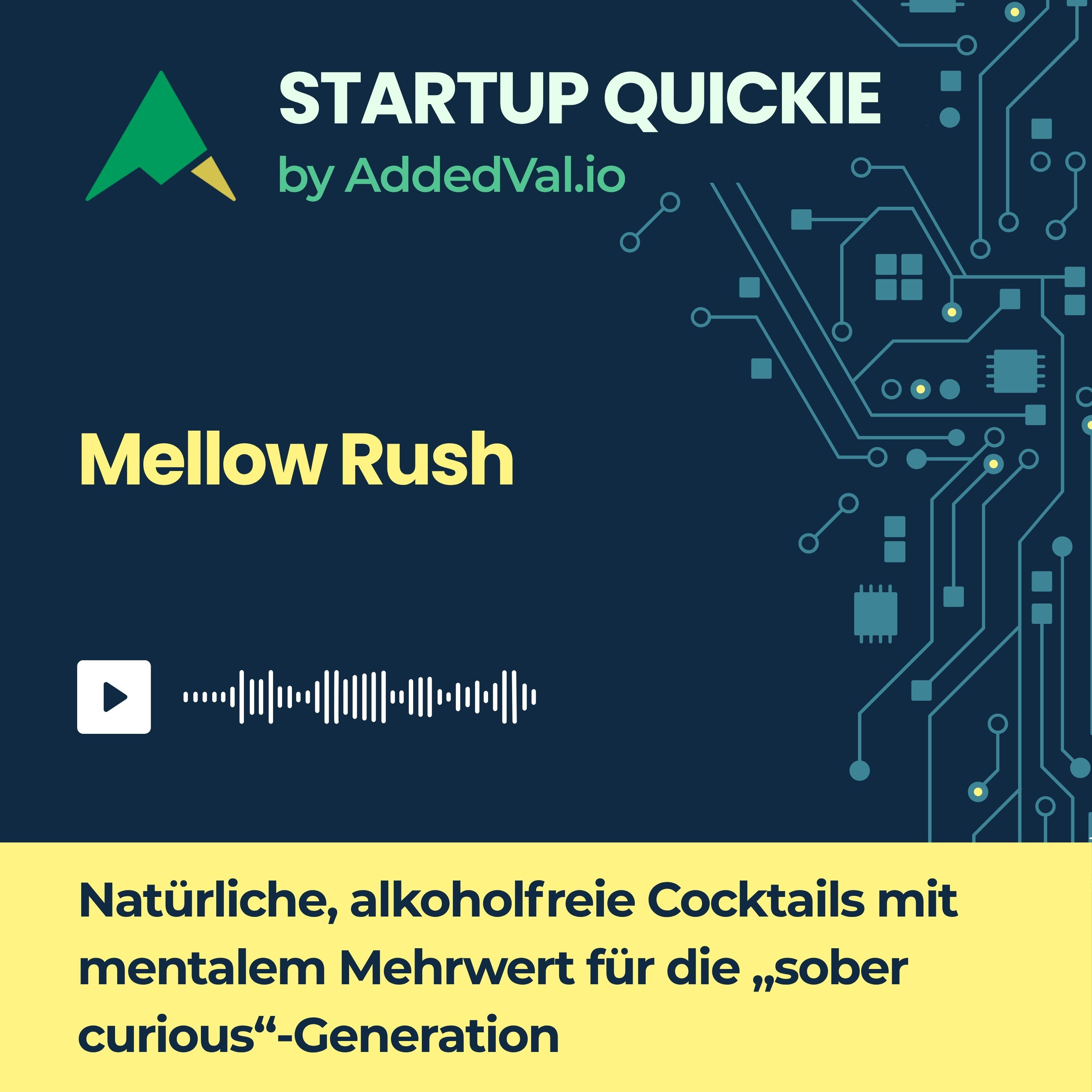 Startup Quickie – dein 5-Minuten-Investor-Update