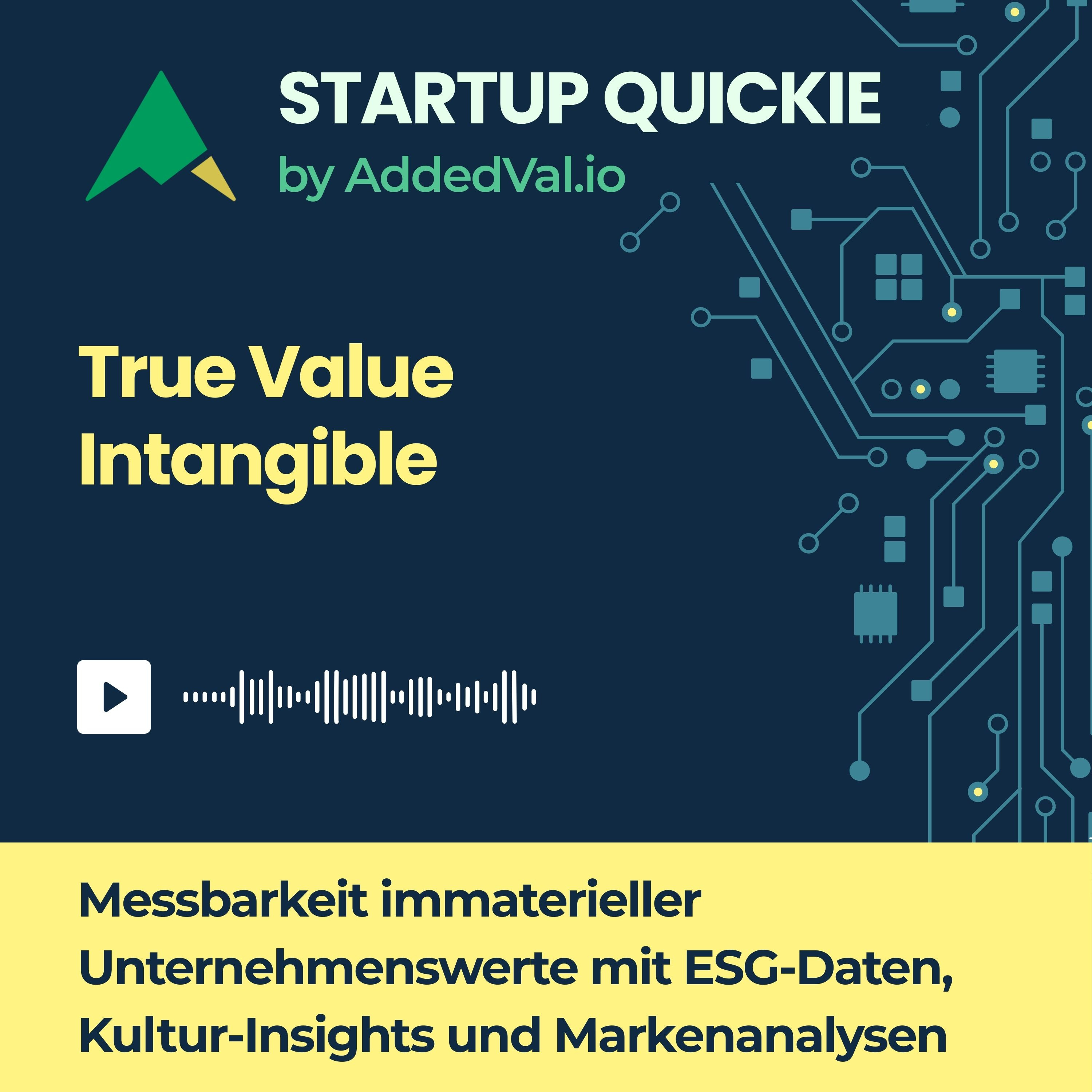 #109 True Value Intangible: Transparenz für die 80 % des Firmenwerts, die fehlen episode artwork