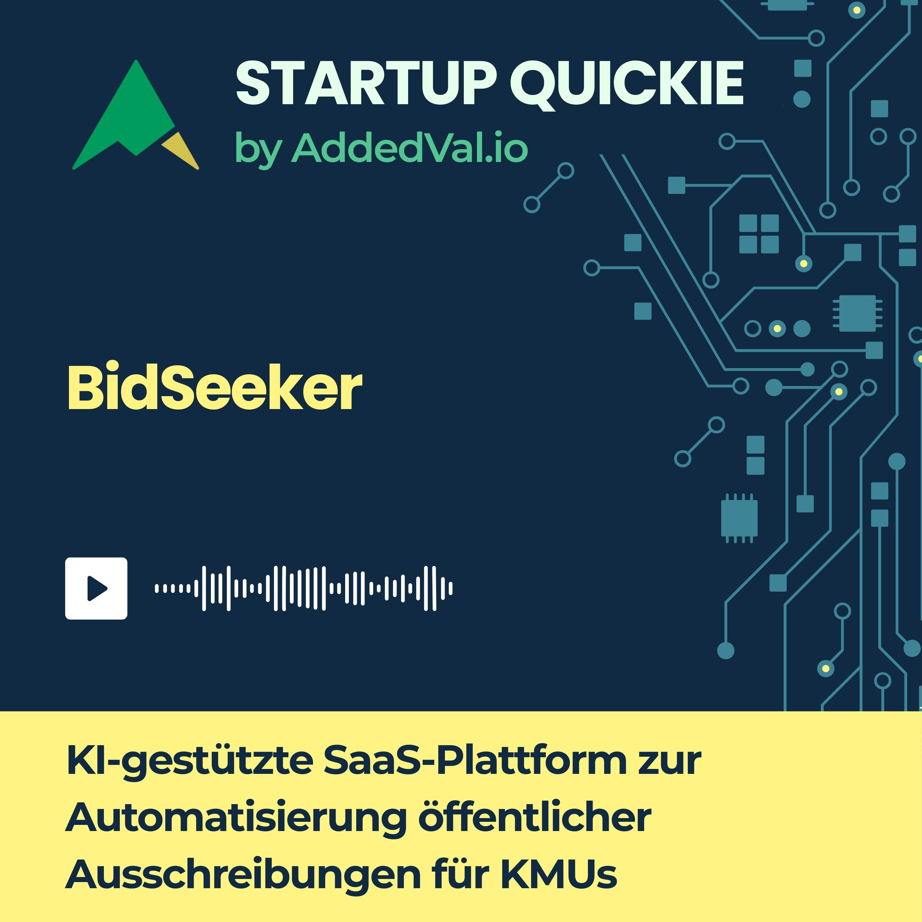#142 BidSeeker: Öffentliche Aufträge finden und gewinnen – vollautomatisiert episode artwork