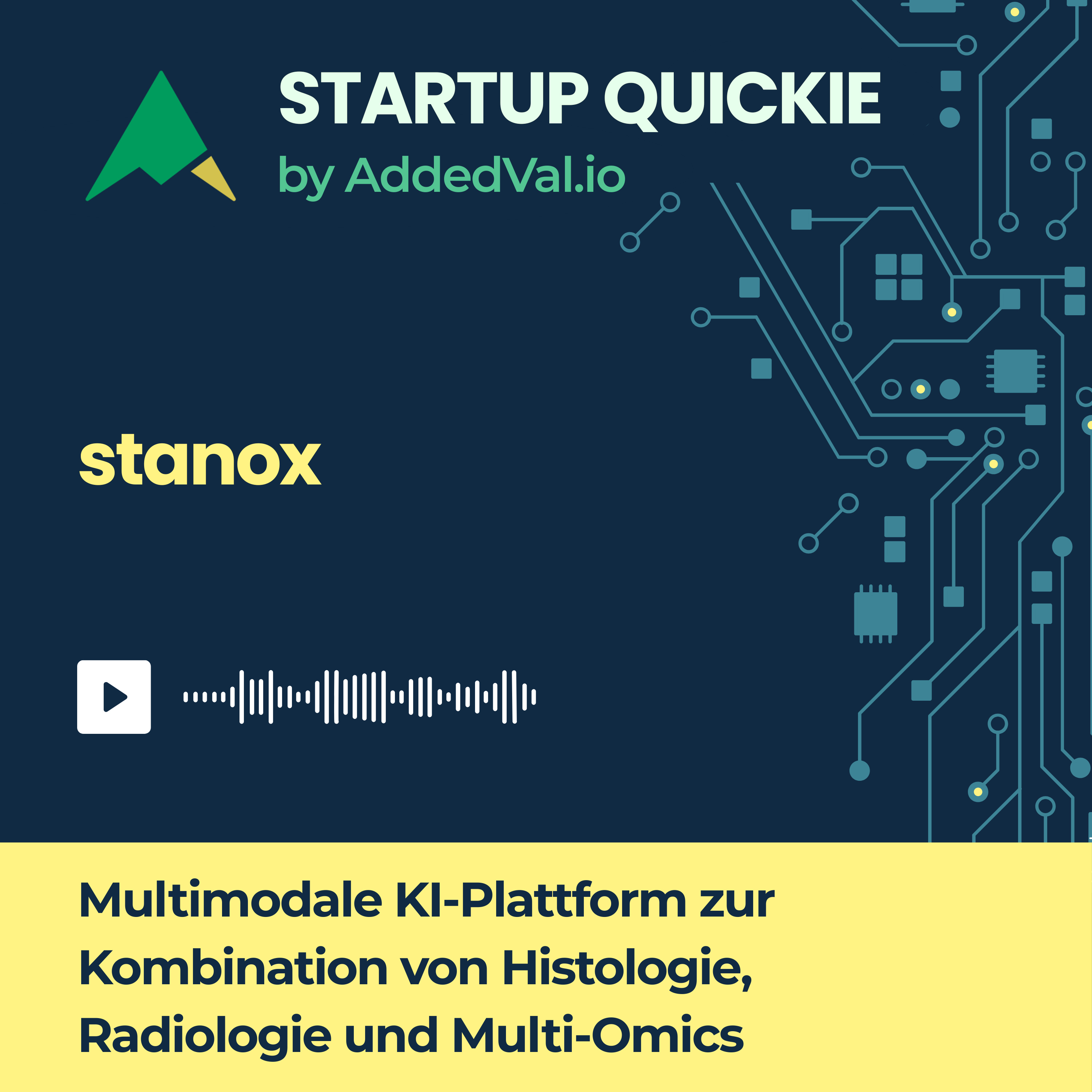 #201 stanox.ai: Erklärbare KI-Modelle, die Pathologen und Forscher vertrauen können episode artwork
