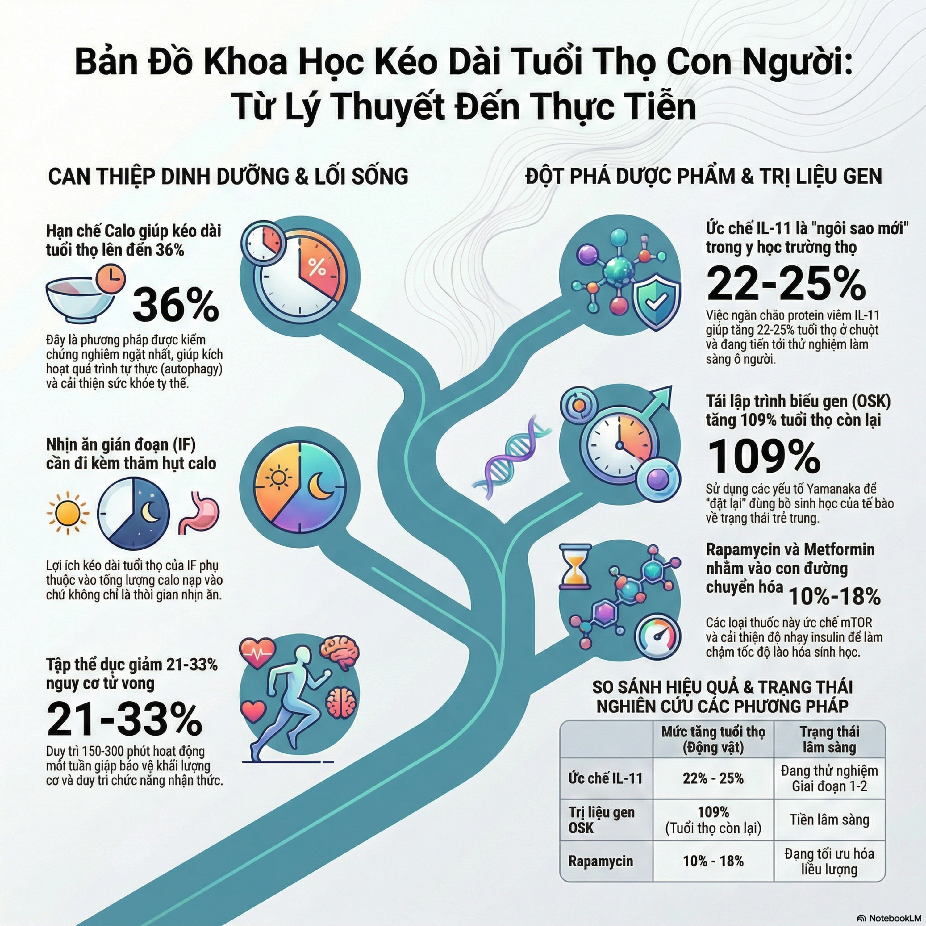 Những Cách Sống Lâu Hơn Theo Khoa Học Hiện Đại ⭐ episode artwork