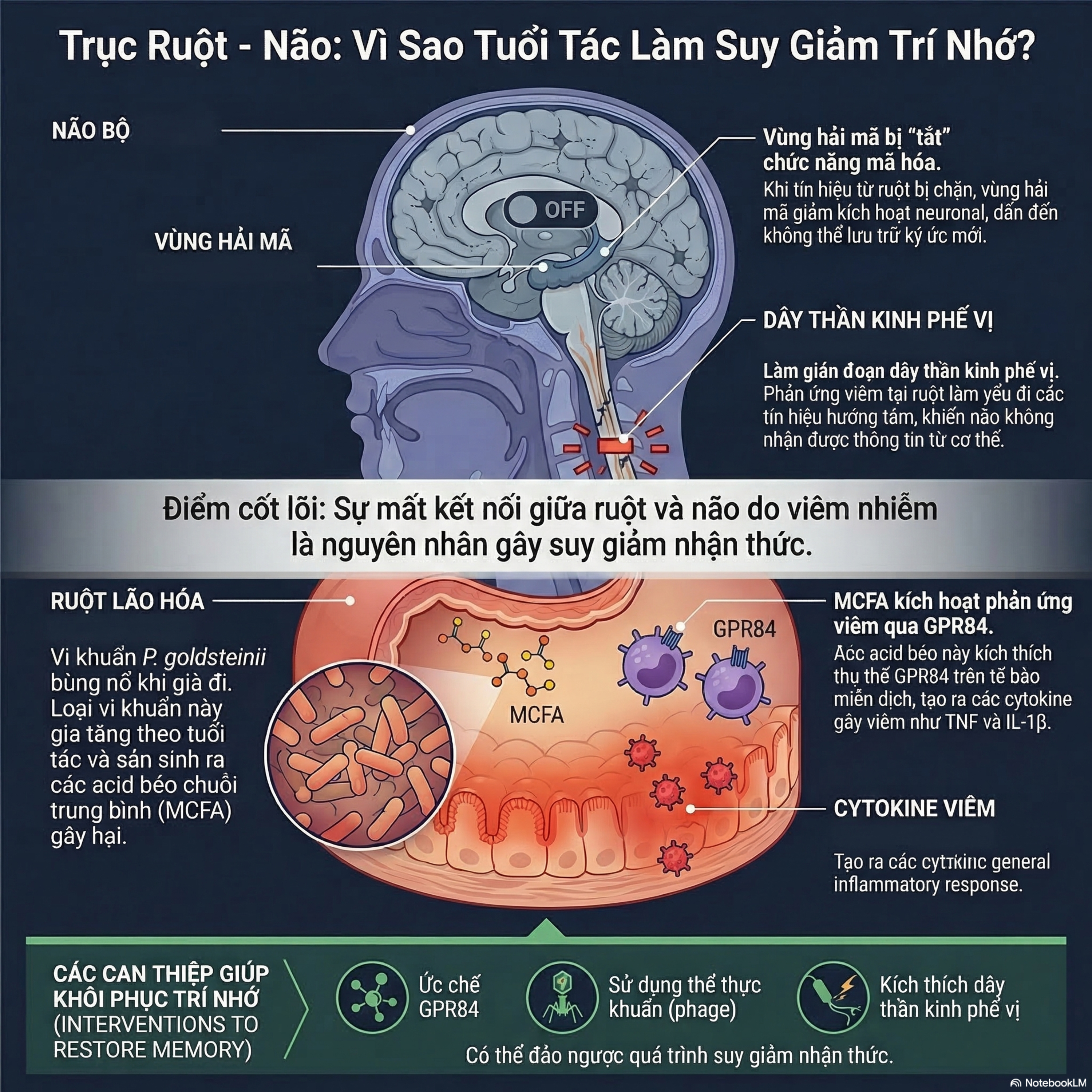 Não Hay Ruột: Ai Mới Thực Sự Gây Mất Trí Nhớ Khi Già? episode artwork