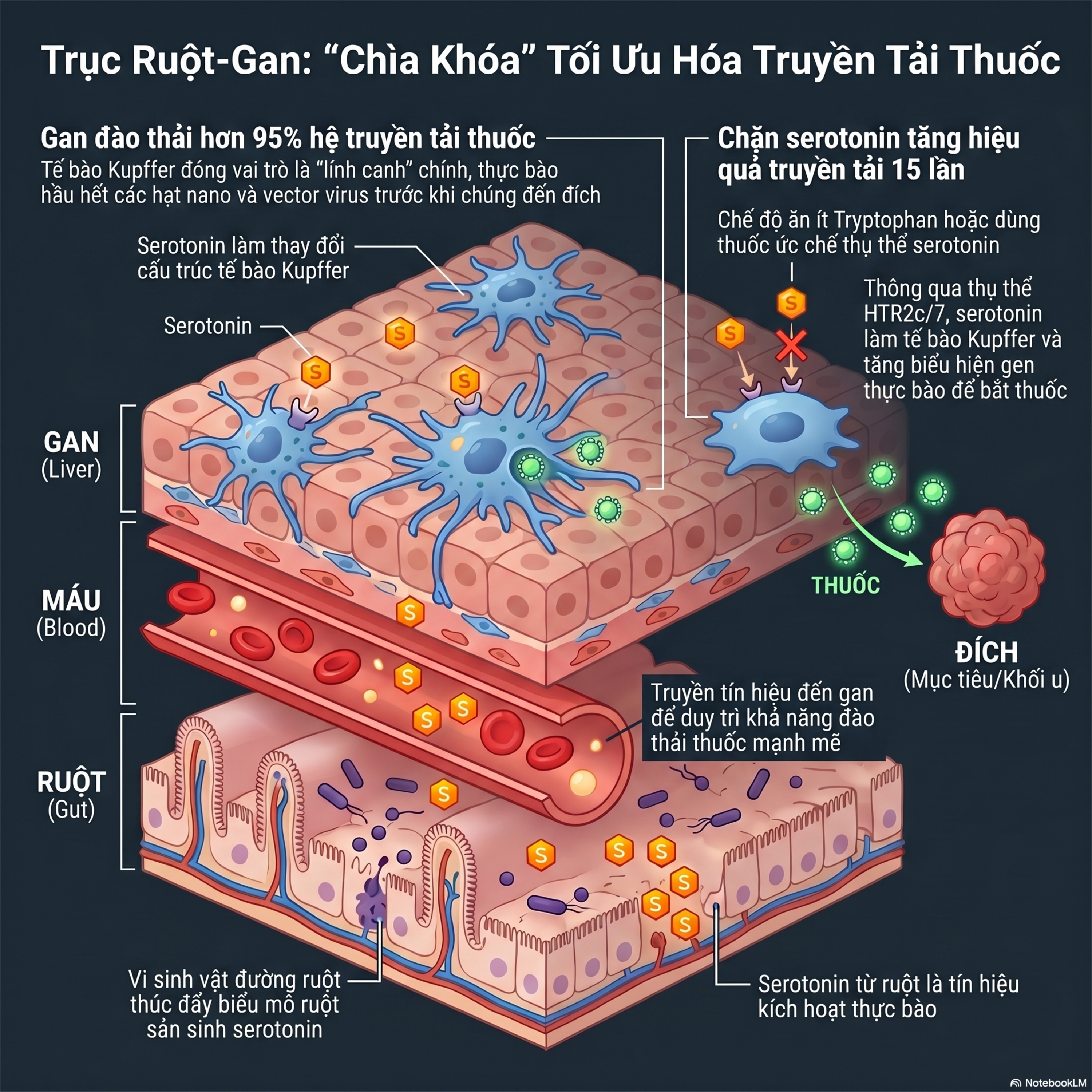 Chế Độ Ăn: “Chìa Khóa Bí Mật” Tăng Hiệu Quả Trị Ung Thư? 🔑💊 episode artwork
