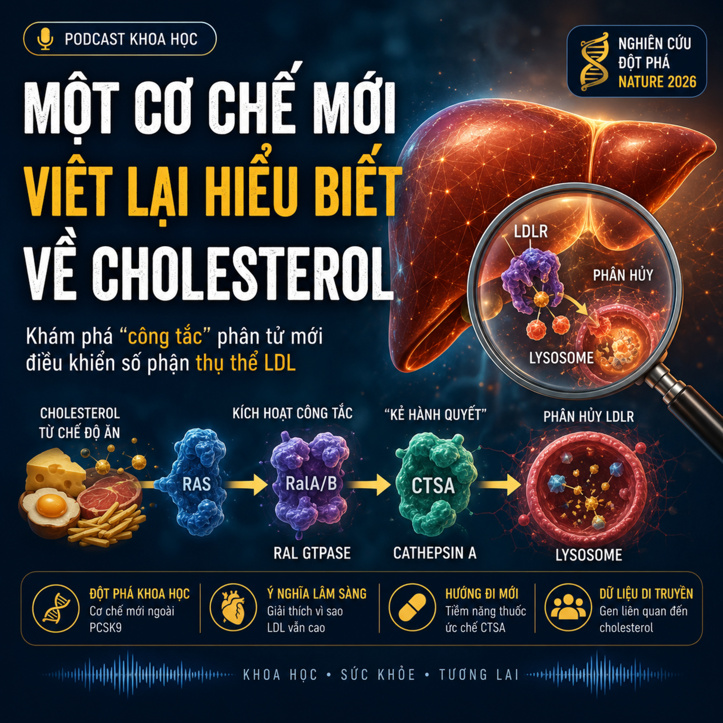 🧬 Một Cơ Chế Mới Viết Lại Hiểu Biết Về Cholesterol episode artwork