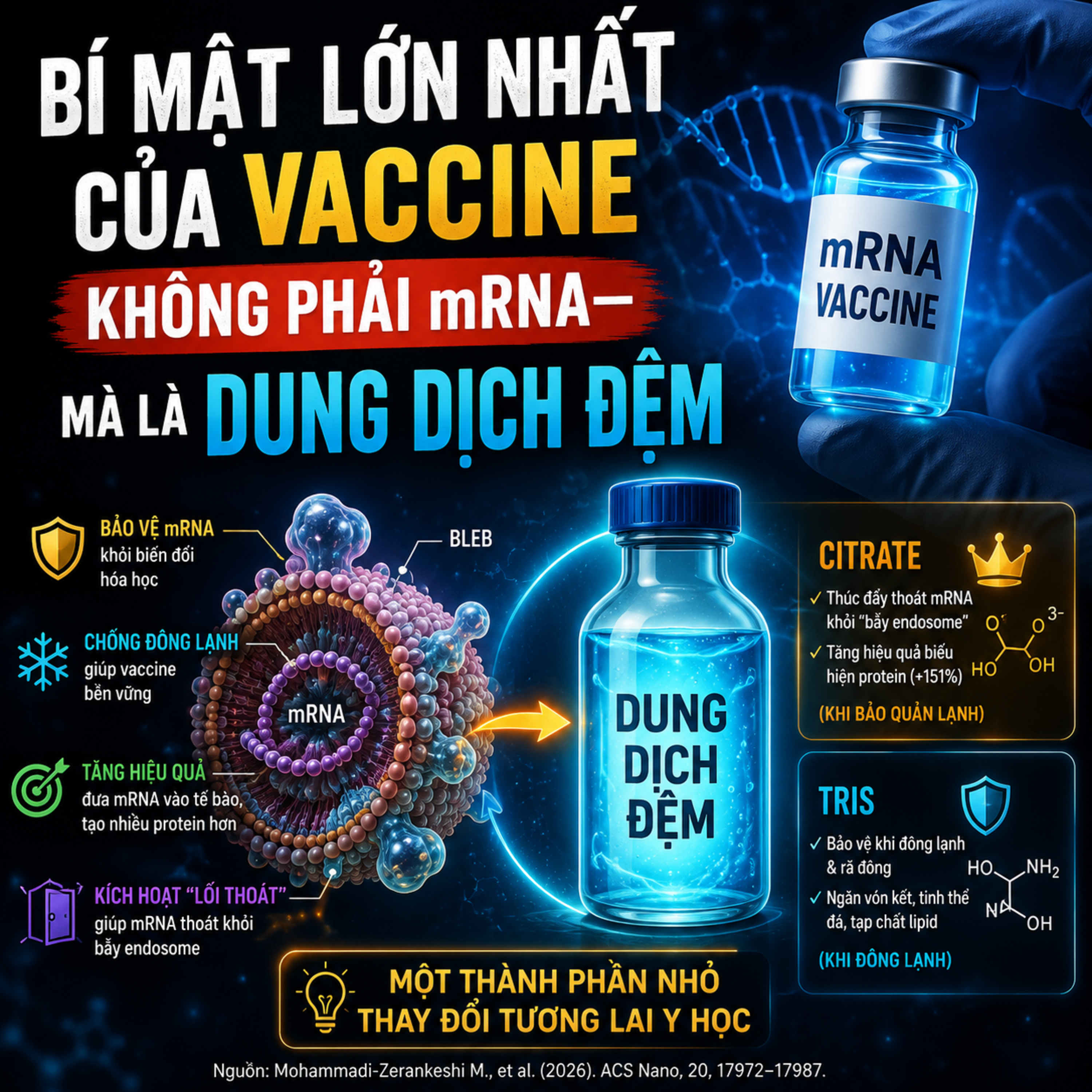 Bí Mật Lớn Nhất Của Vaccine Không Phải mRNA: Dung Dịch Đệm episode artwork