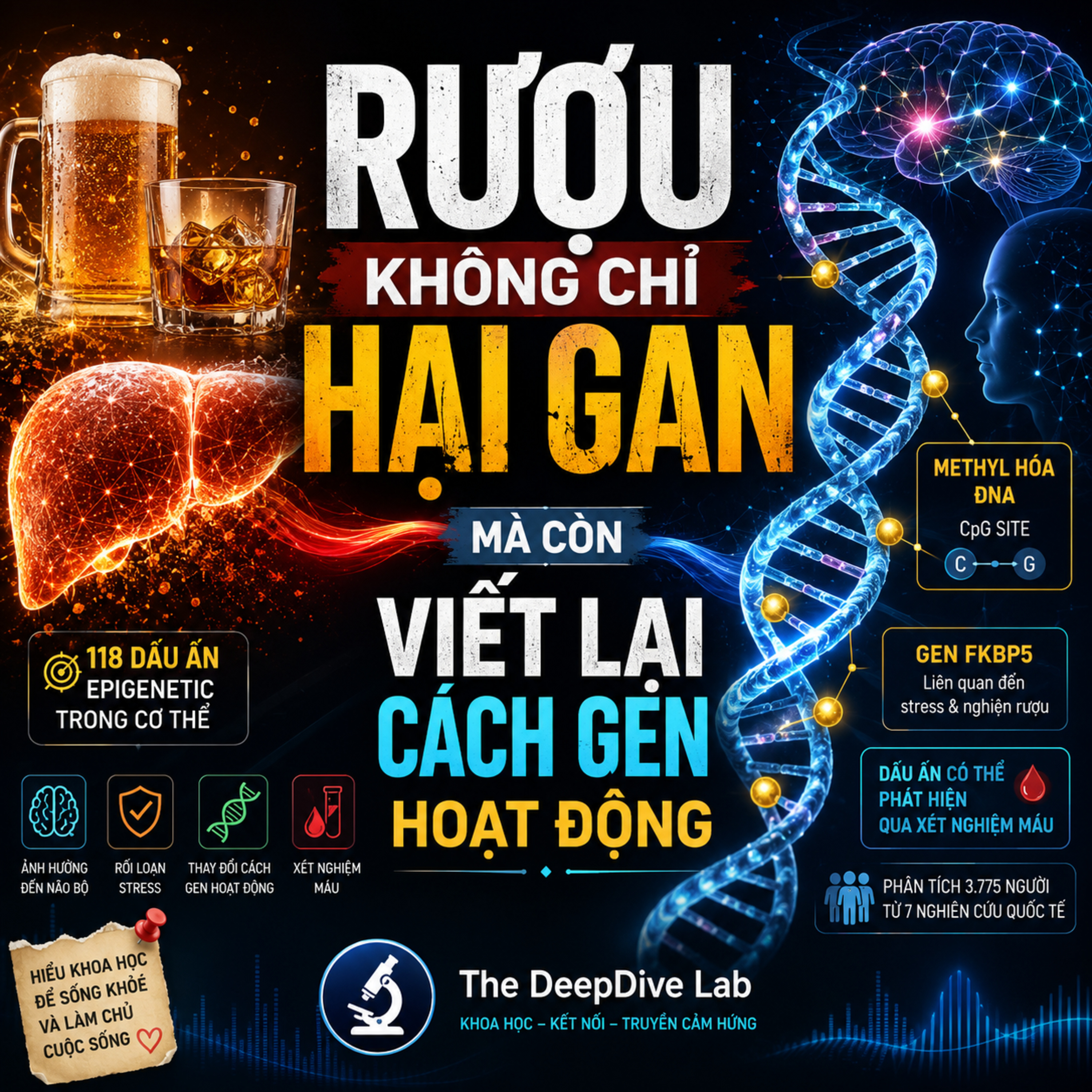 Rượu Không Chỉ Hại Gan  Mà Còn Viết Lại Cách Gen Hoạt Động episode artwork