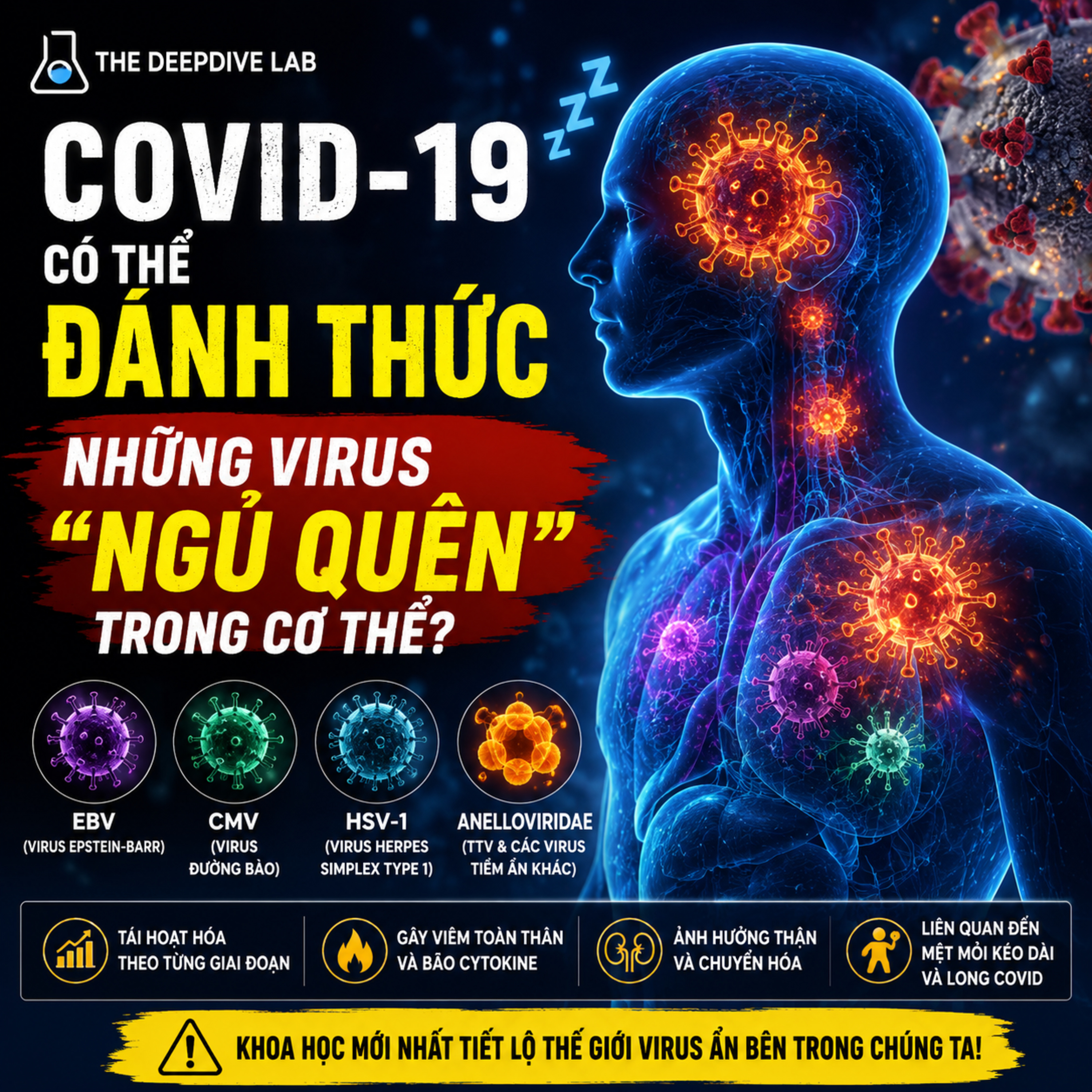 COVID-19 Có Thể Đánh Thức Những Virus “Ngủ Quên” Trong Cơ Thể? episode artwork