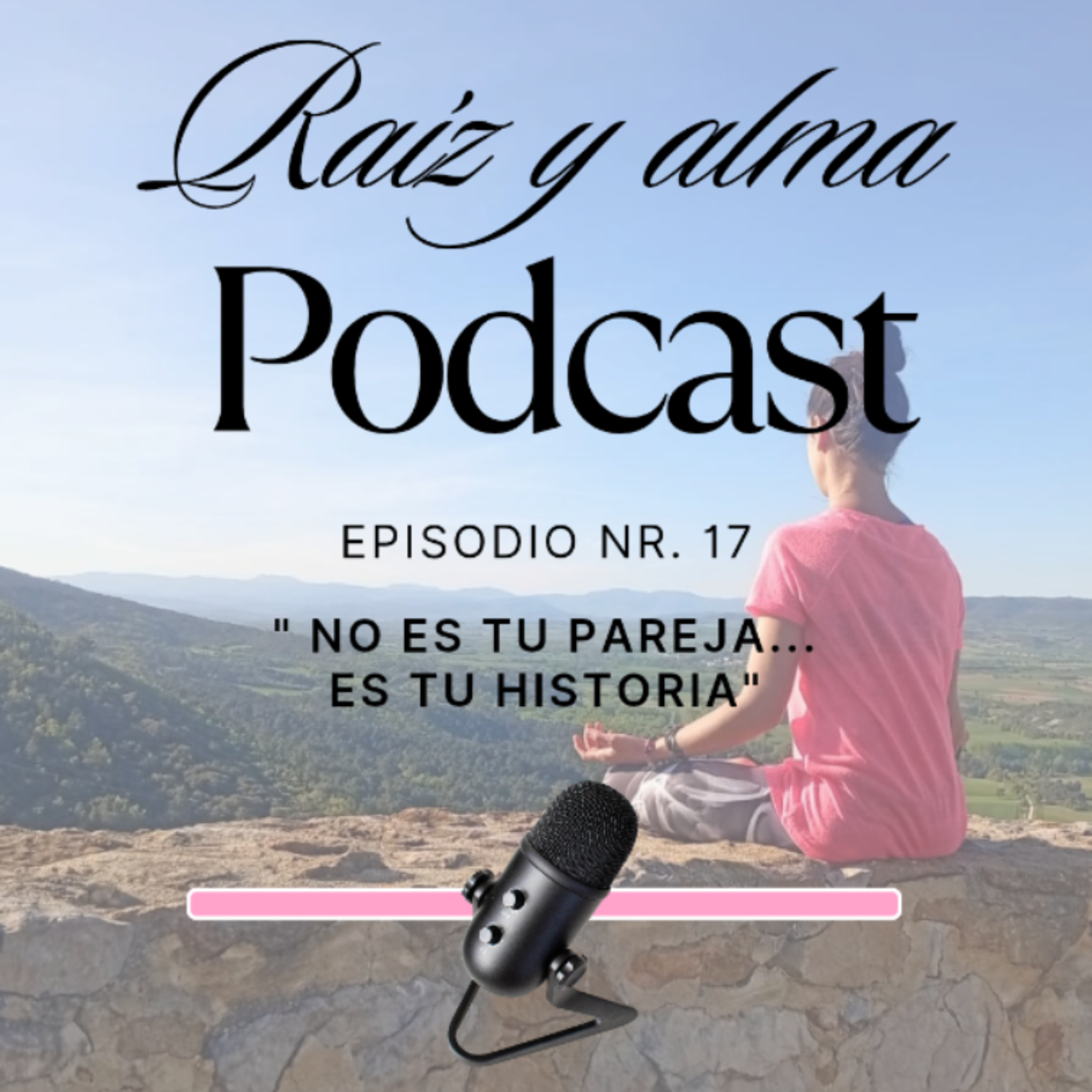 17. No es tu pareja... es tu historia episode artwork